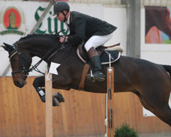 Queo v. Quintender / Rapallo, mit Michael Nagel (Gadebusch) Landeschampioness der vierjährigen Mecklenburger. Foto: Jutta Wego
