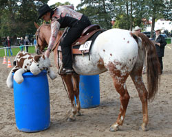Westernreiterin Angelika Pisch. Foto: Wego