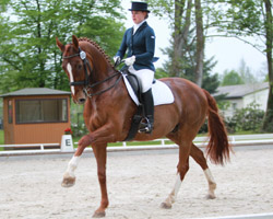 Im Finale zum Bernhard-von-Albedyll-Dressurcup für Reiter der ostdeutschen Verbände in Salzwedel war Katharina Wiegert aus Groß Nemerow auf dem 3. Platz mit Don Pedro die Beste aus Mecklenburg-Vorpommern. Foto: Jutta Wego
