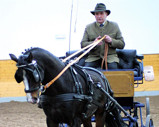 Günter Helm mit seinem gekörten Deutschen Reitponyhengst Visconti (v. Vita Nova’s Hanassie), der 26 im Sport erfolgreiche Nachkommen hinterlässt. Foto: Jutta Wego