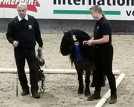 Esteban v.d. Zandkamp von Pybe van Stal de Toekomst (Z.: Niederlane; B.: Elisabeth & Gisbert Koch, Setzin).