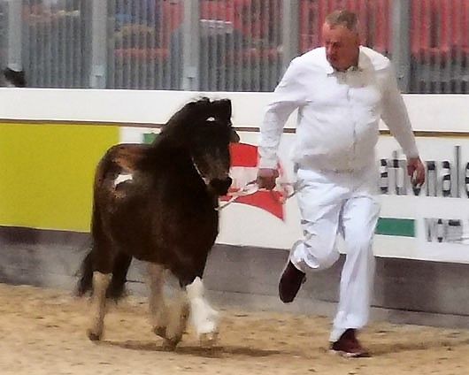 Fidel von der Mühlbachquelle von Falk of Baltic Sea (Z.u.B.: Dietmar Heinelt, Osternienburger Land).