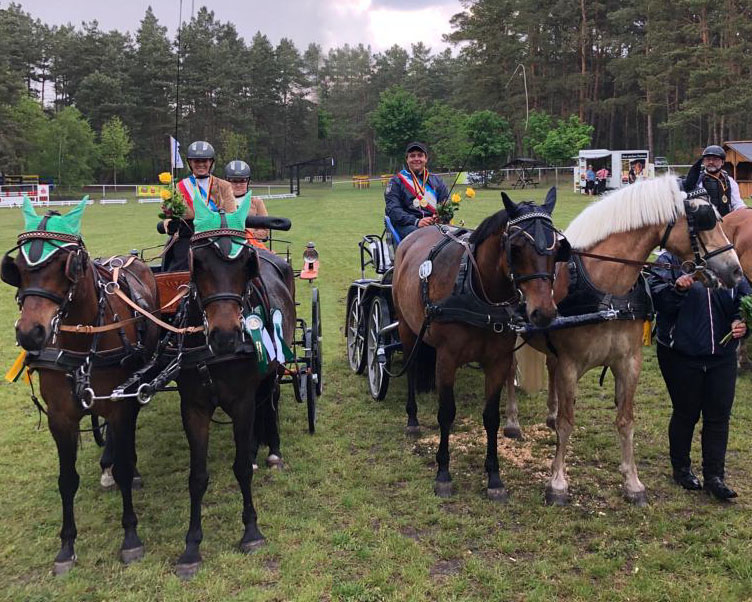 Anja Krüger und Tobias Kriemann holten die Landesmeistertitel im Zweispännerfahren für Ponys und Pferde nach Katzow. Foto: privat