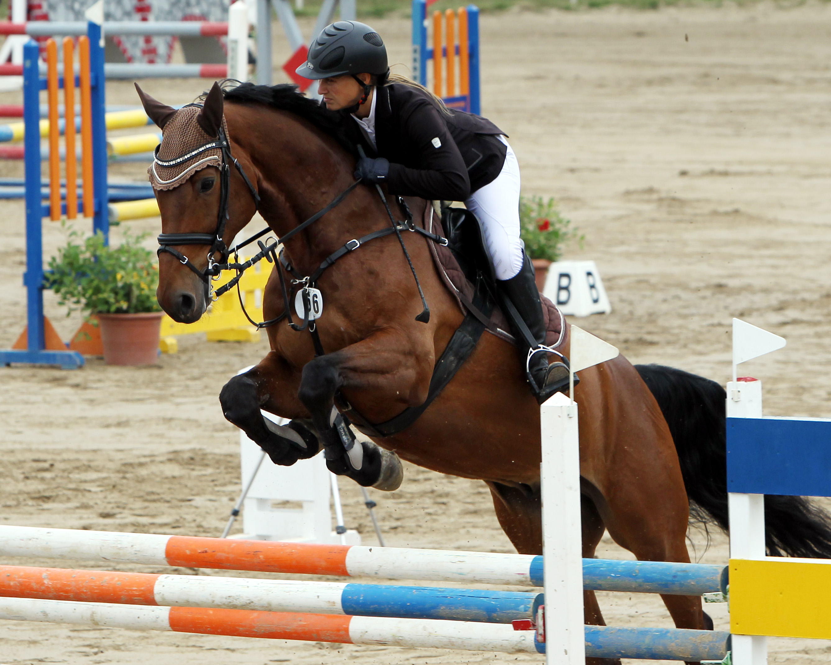 Ramona Schilloks aus Güstrow ist mit Cenny die Titelverteidigerin im Großen Preis und hat das Springen auch schon 2017 auf Mariska gewonnen. Foto: Jutta Wego