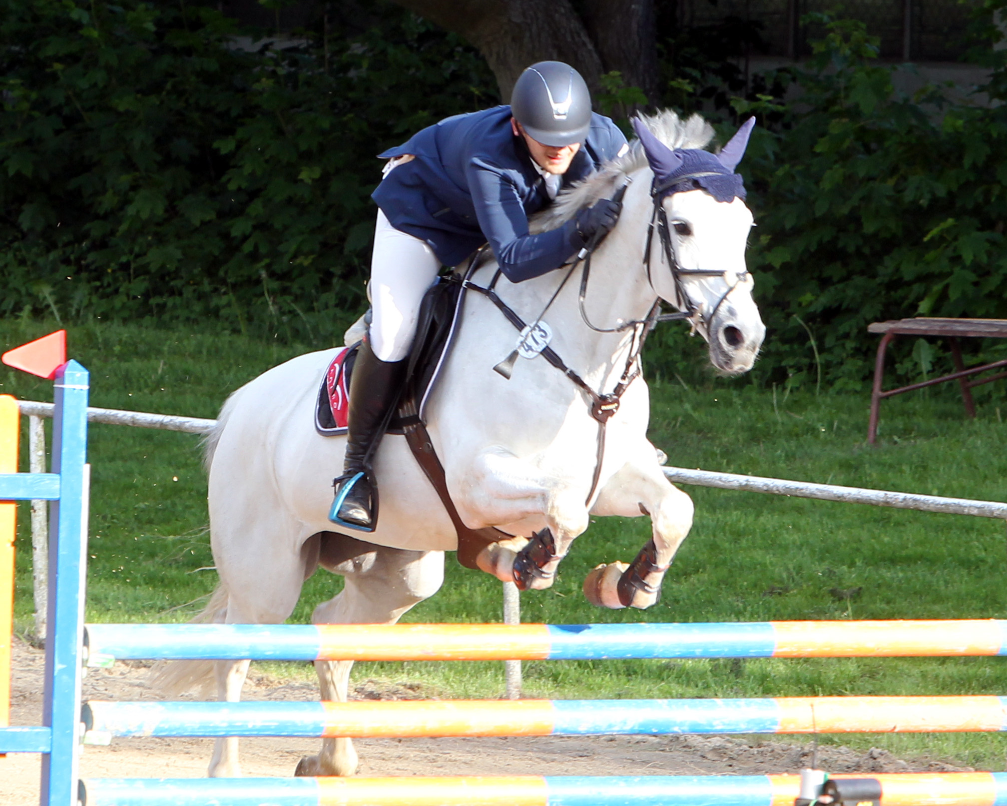 Der 21-jährige Florian Villwock wurde im Großen Preis mit Clair de Lune R Dritter und gewann am Samstag die 2. Abteilung des M-Zeitspringens mit Zodessa (Foto). Foto: Jutta Wego