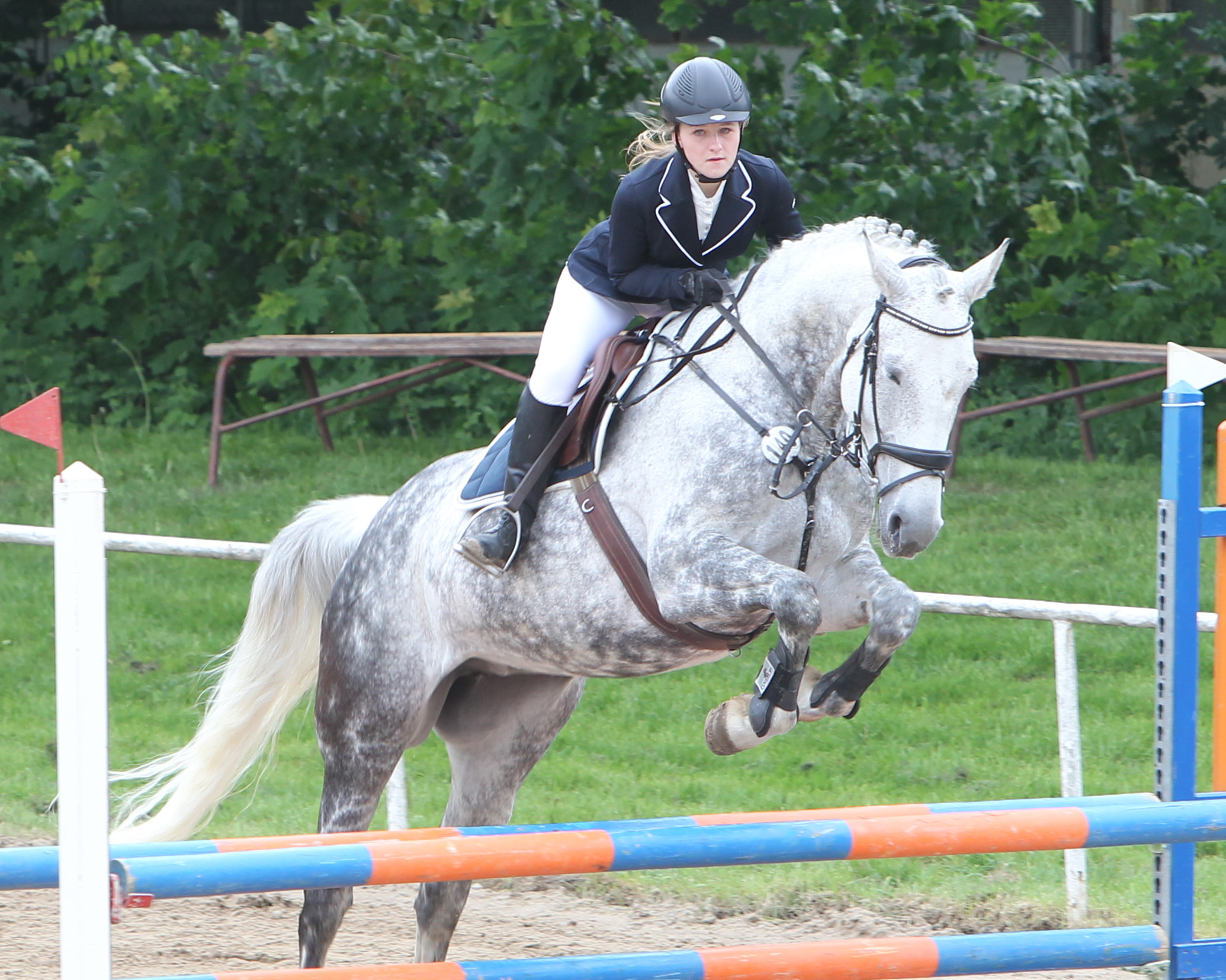 Die 15-jährige Louisa Prüter holte einen Gastgebersieg und gewann mit einem ?Bilderbuchritt? (Wertnote 8,6) das Stilspringen Klasse A auf der Schimmelstute Chenoa P. Foto: Jutta Wego