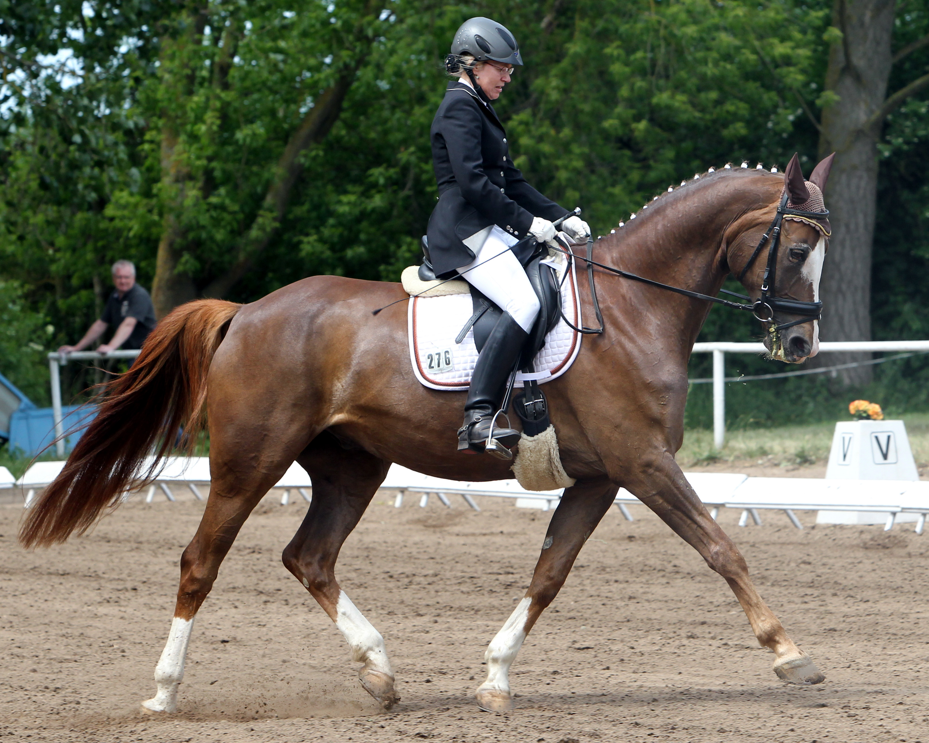 Die 48-jährige Silvia Körk (hier auf Rettan) reitet für den RFV Krackow, gewann eine A-Dressur und gehörte mit weiteren drei 3. Plätzen zu den erfolgreichsten Teilnehmern. Foto: Jutta Wego
