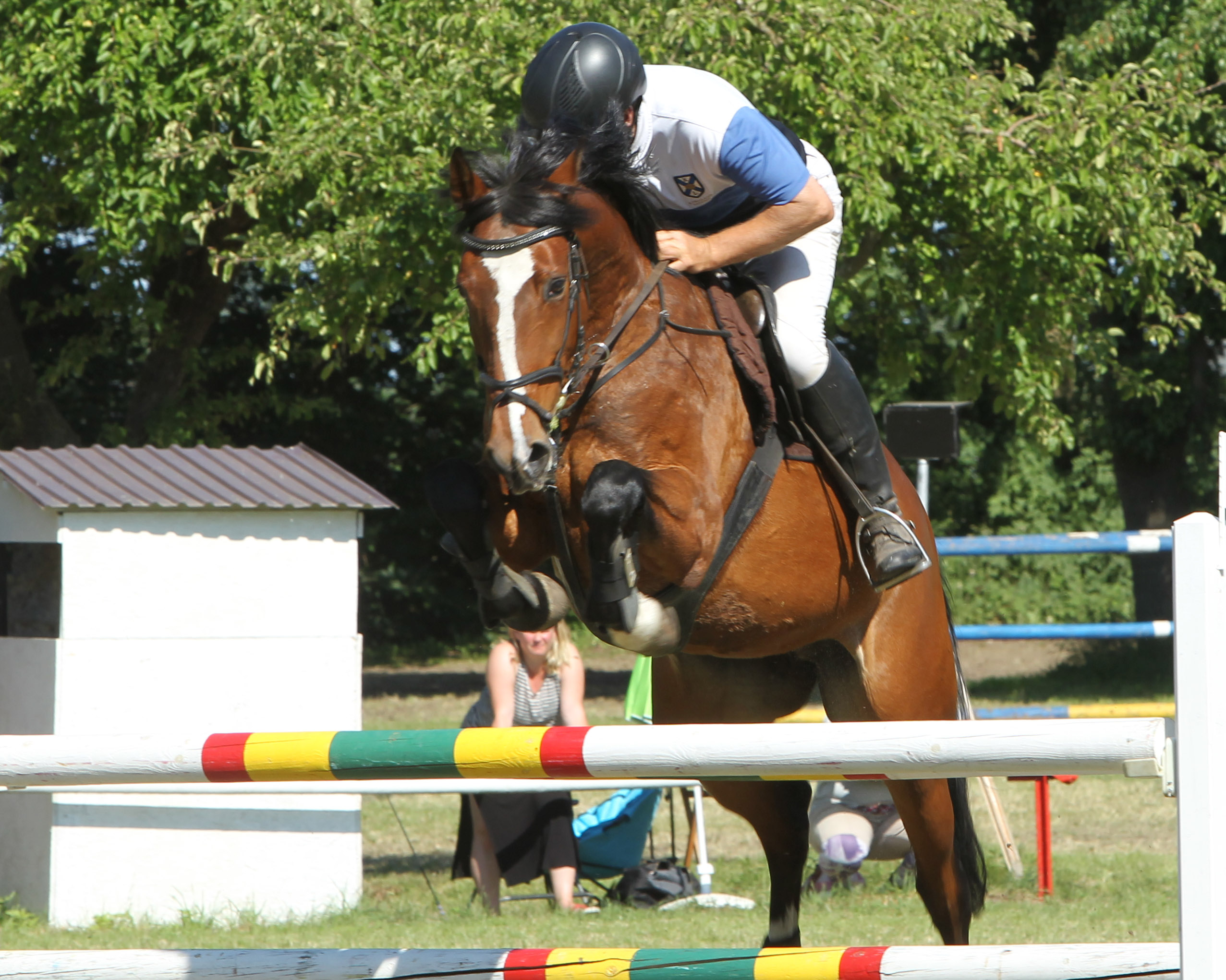 Der 61-jährige Ralf Weihs gewann in seiner einstigen Heimat Ludorf Das Hauptspringen der Klasse M mit Wai o Wai. Foto: Jutta Wego