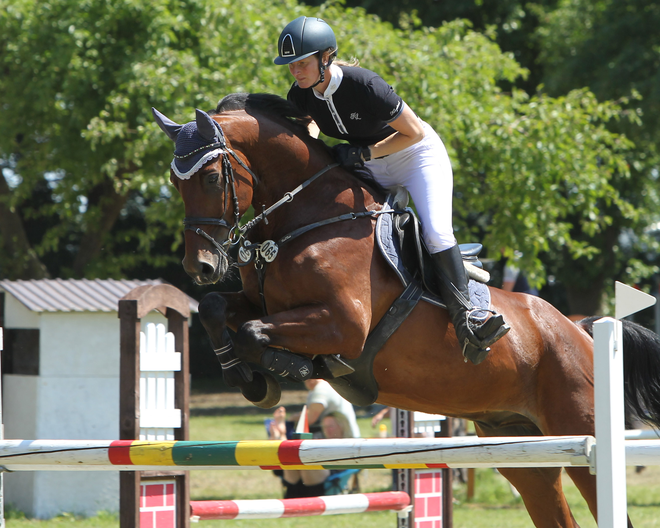 Die 33-jährige Susan Nörenberg (Cramon) gehörte mit einem L-Sieg auf Champ und acht weiteren Platzierungen zu den erfolgreichsten Teilnehmern in Ludorf. Foto: Jutta Wego