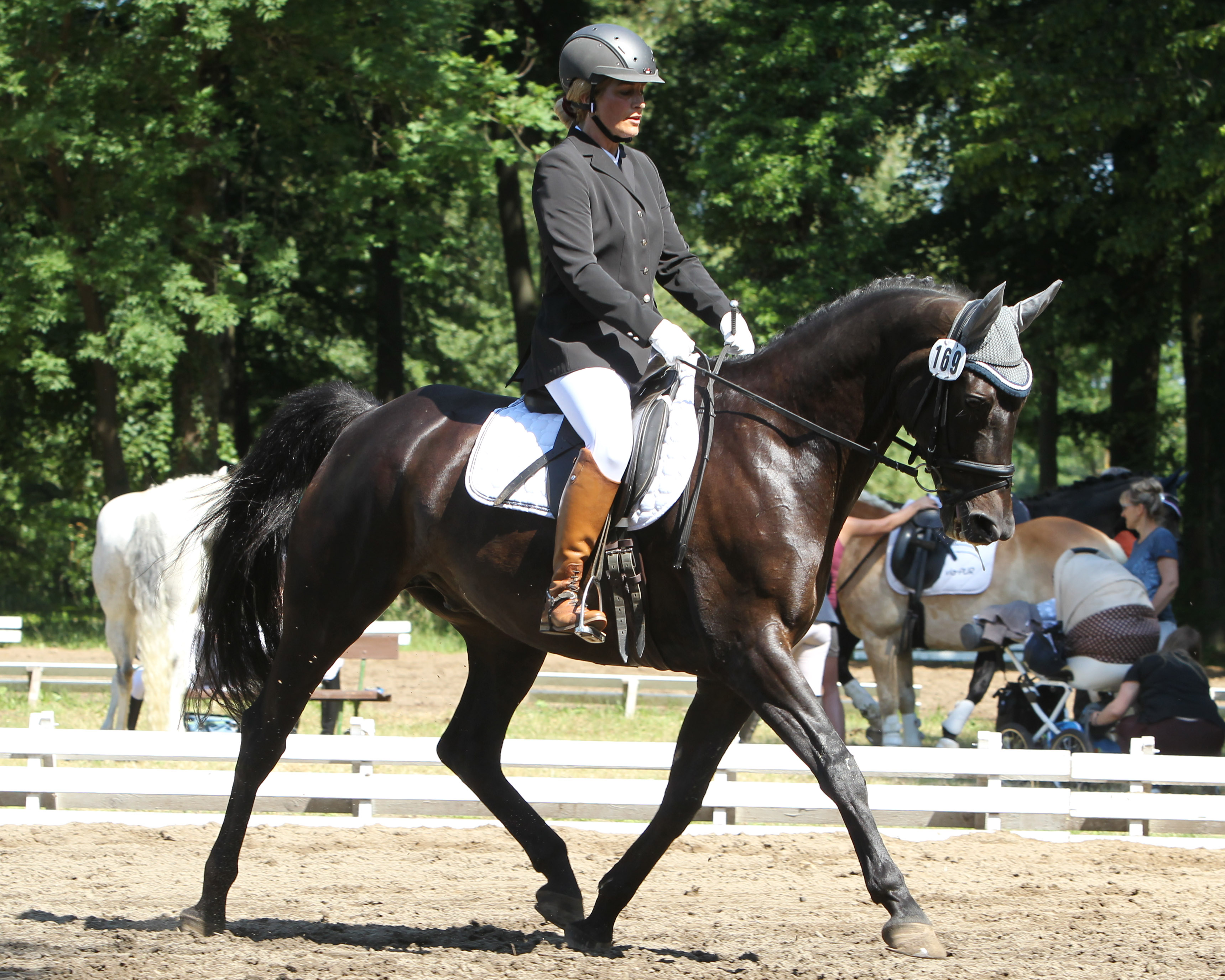 Nach mehrjähriger Pause und überstandener Krankheit gewann die 46-jährige Indira Wallner (Schwinkendorf) auf dem Araber-Partbred-Wallach Ohamit in Ludorf eine L-Dressur. Foto: Jutta Wego