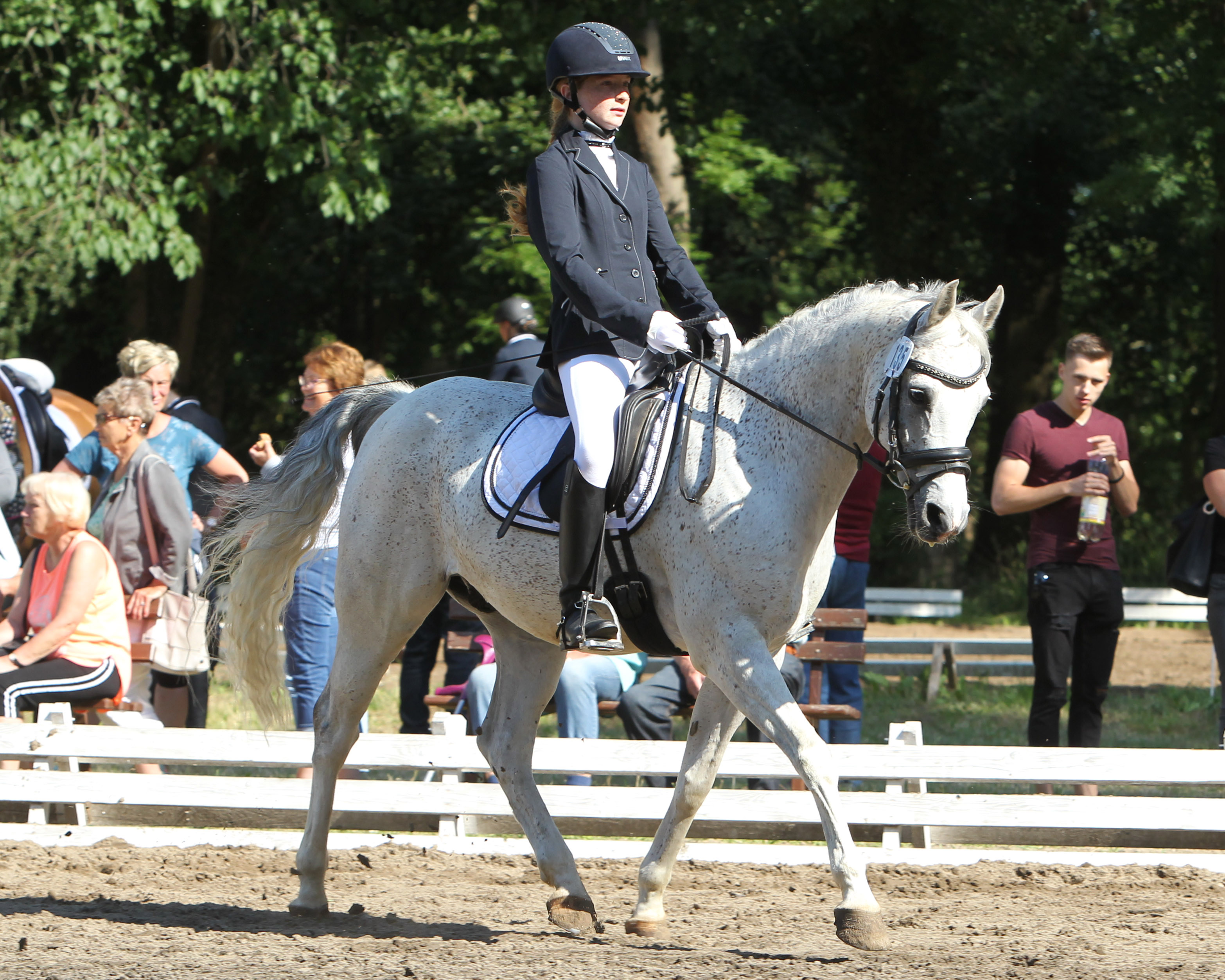 Josephine Wallner, 12-jährige Tochter von Indira, gewann mit Pony Gronborg?s Cassius Clay zwei Dressurprüfungen und platzierte sich insgesamt viermal. Foto: Jutta Wego