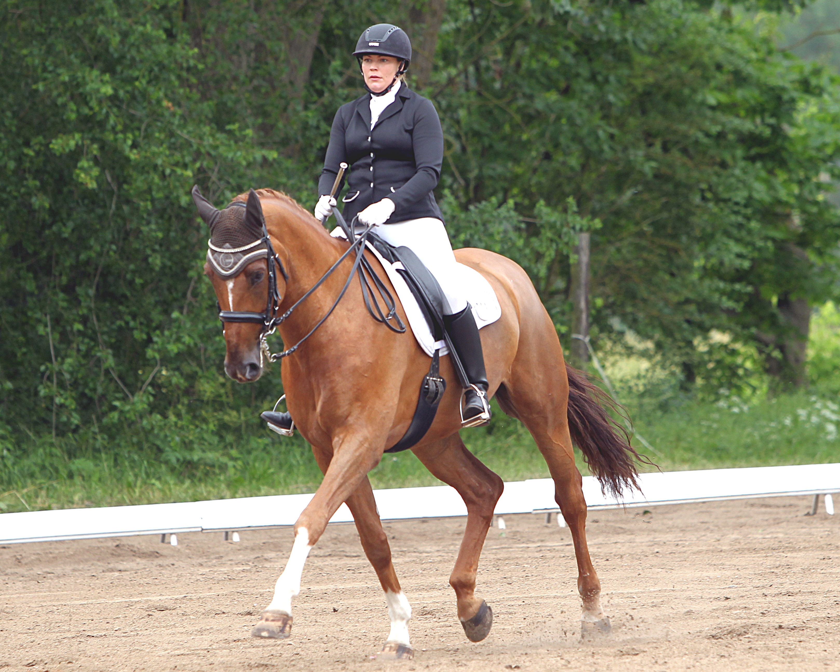 Der L-Sieg in der Dressur ging an die Finnin Sari Uimonen, die mit Sri Shakti seit dieser Saison für Weitenhagen reitet. Foto: Jutta Wego