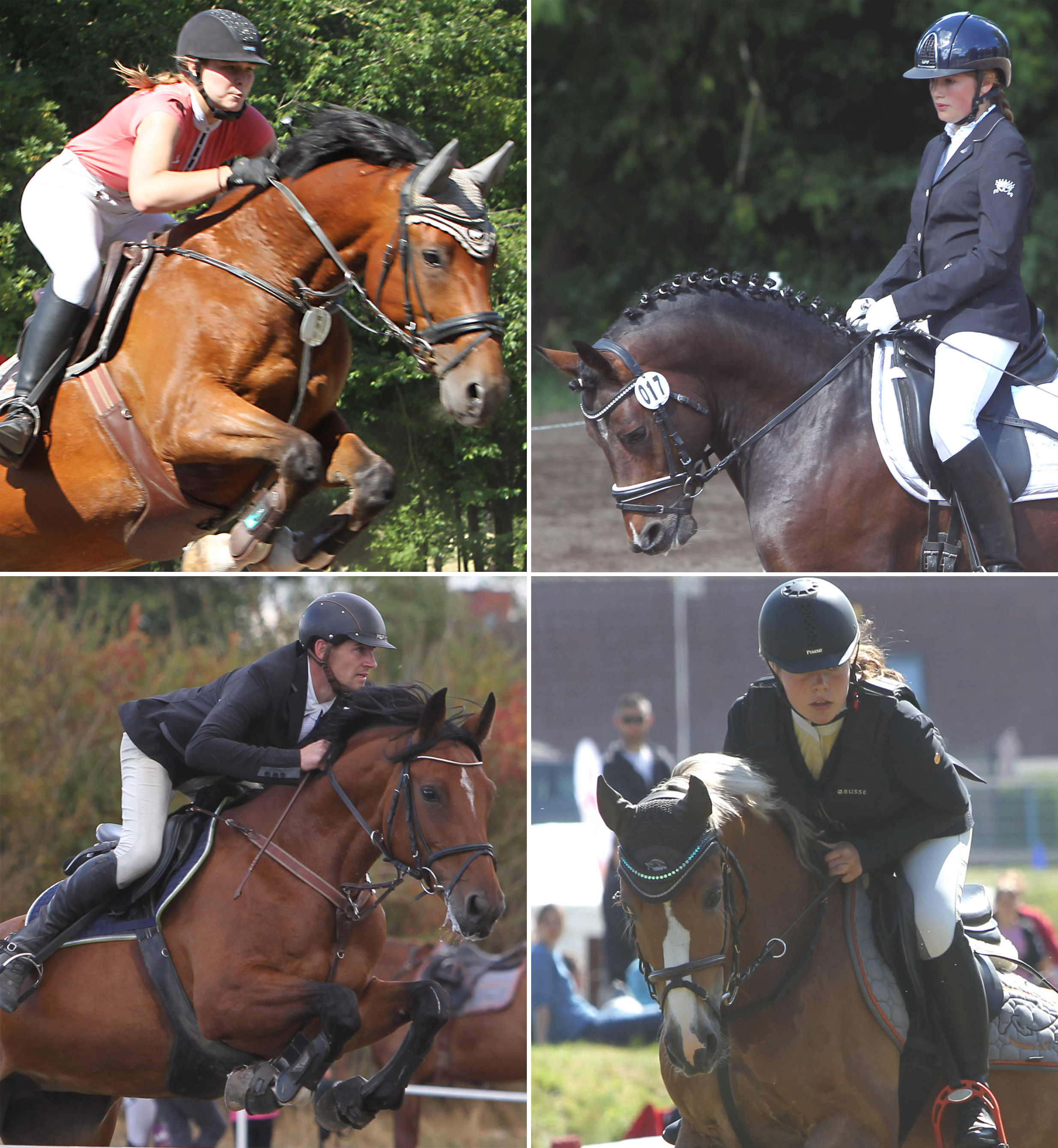 Kreismeistertitel gingen an Nele Eisenberg (o.l.), Ringo Wollin (u.l.), Freya Schaepe (o.r.) und Soraya Getzin (u.r.). Fotos: Jutta Wego