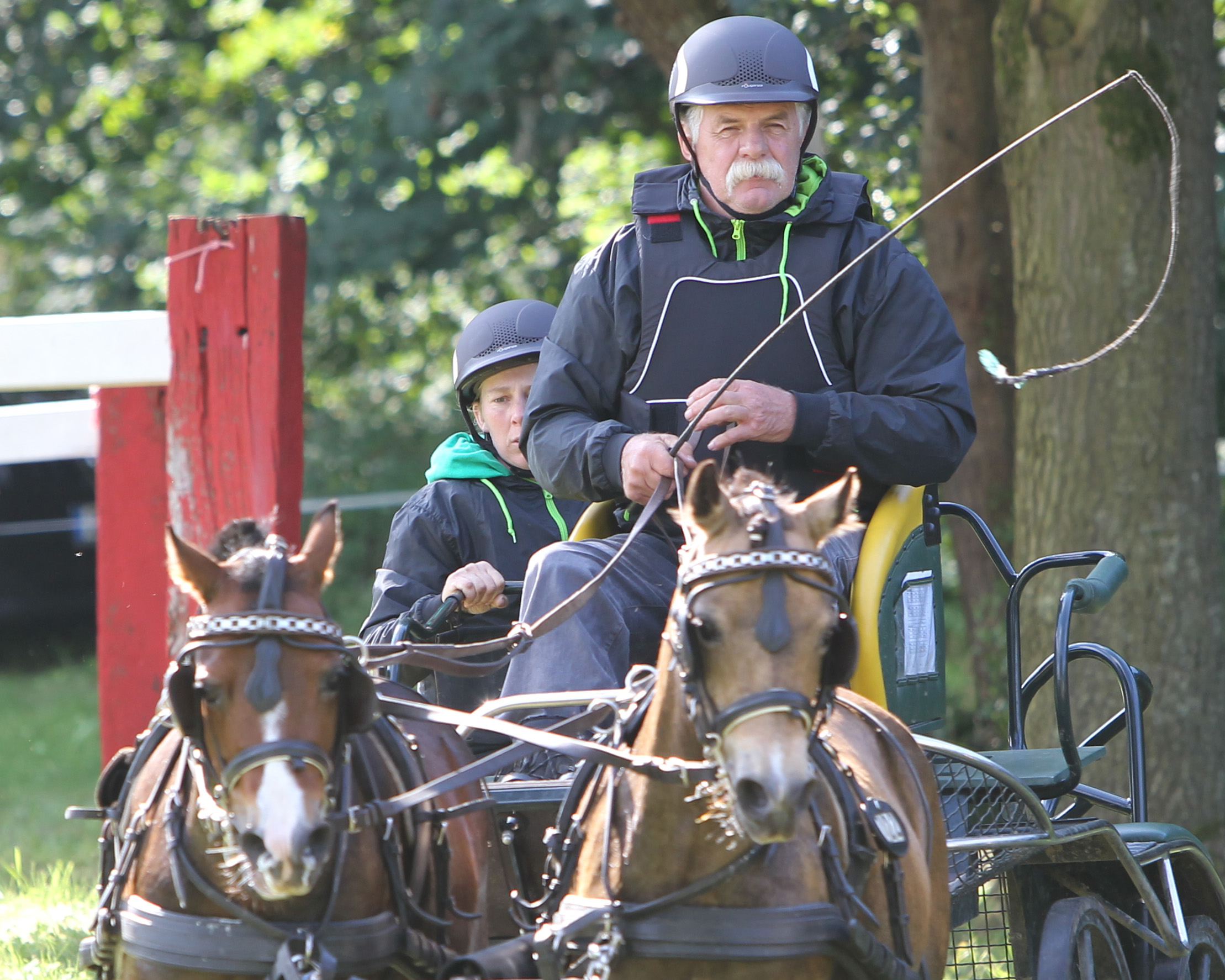 Norbert Labahn mit den Welsh Mountain Ponys Sonnenberg’s Yana und Sonnenberg’s Nelly. Foto: Jutta Wego