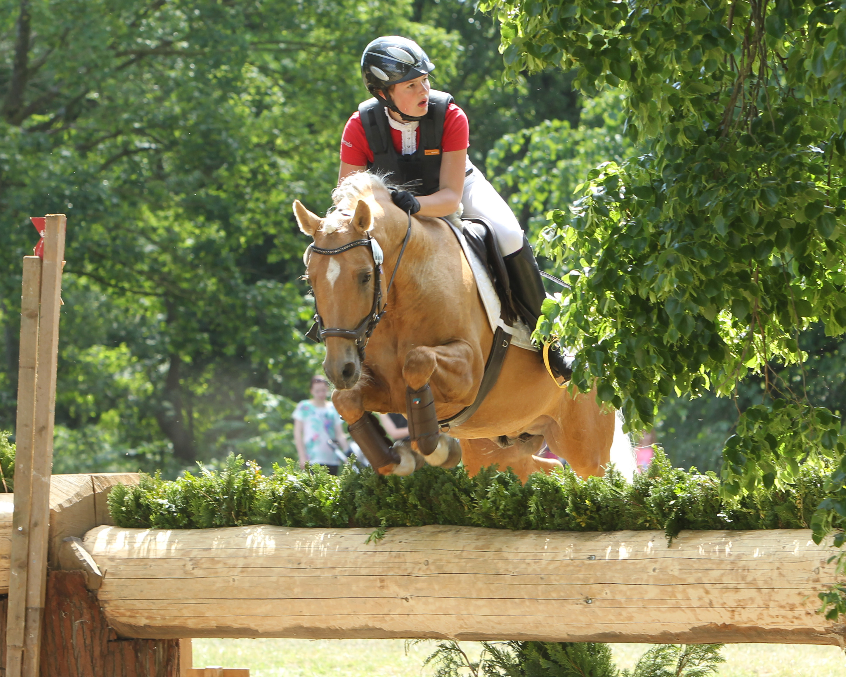 Bei den 5- und 6-jährigen Vielseitigkeitsponys in Warendorf ritt Freya Schaepe mit dem gekörten Hengst Nancho's Golden Star auf dem 4. Platz nur knapp an einer Medaille vorbei. Foto: Jutta Wego