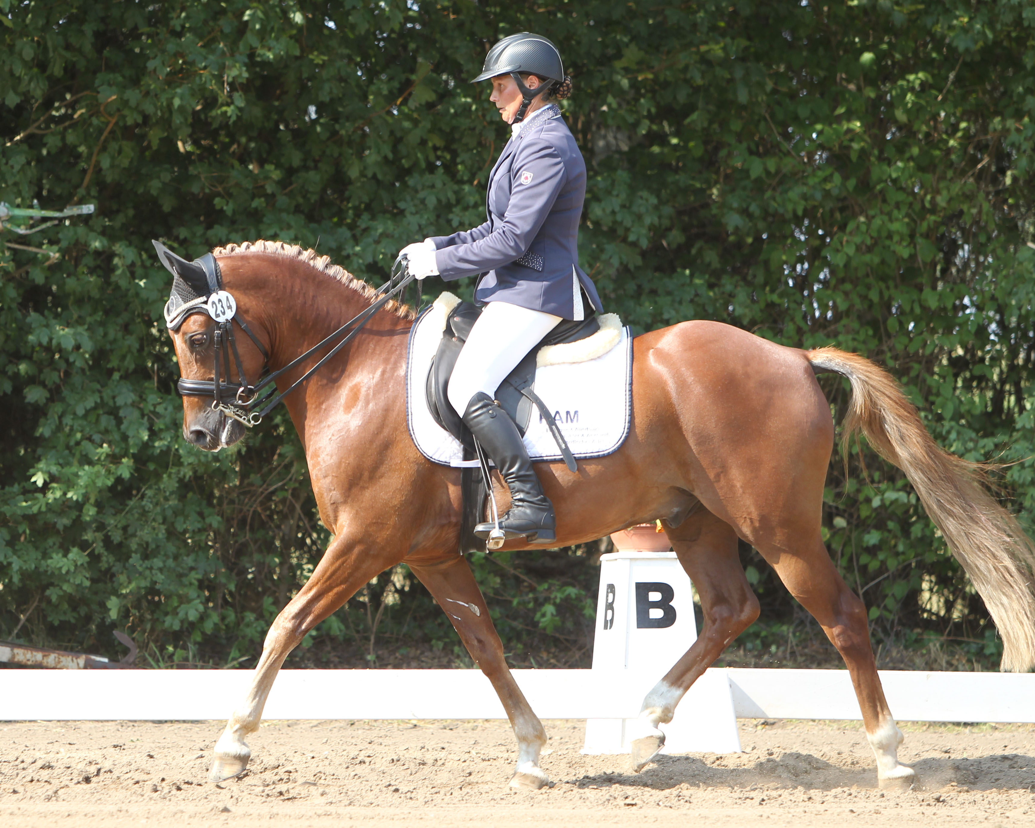 Die 32-jährige Jana Lubs (Zingst) gewann mit Pony Domino die L-Dressur auf Kandare und die M-Dressur in Crivitz. Foto: Jutta Wego