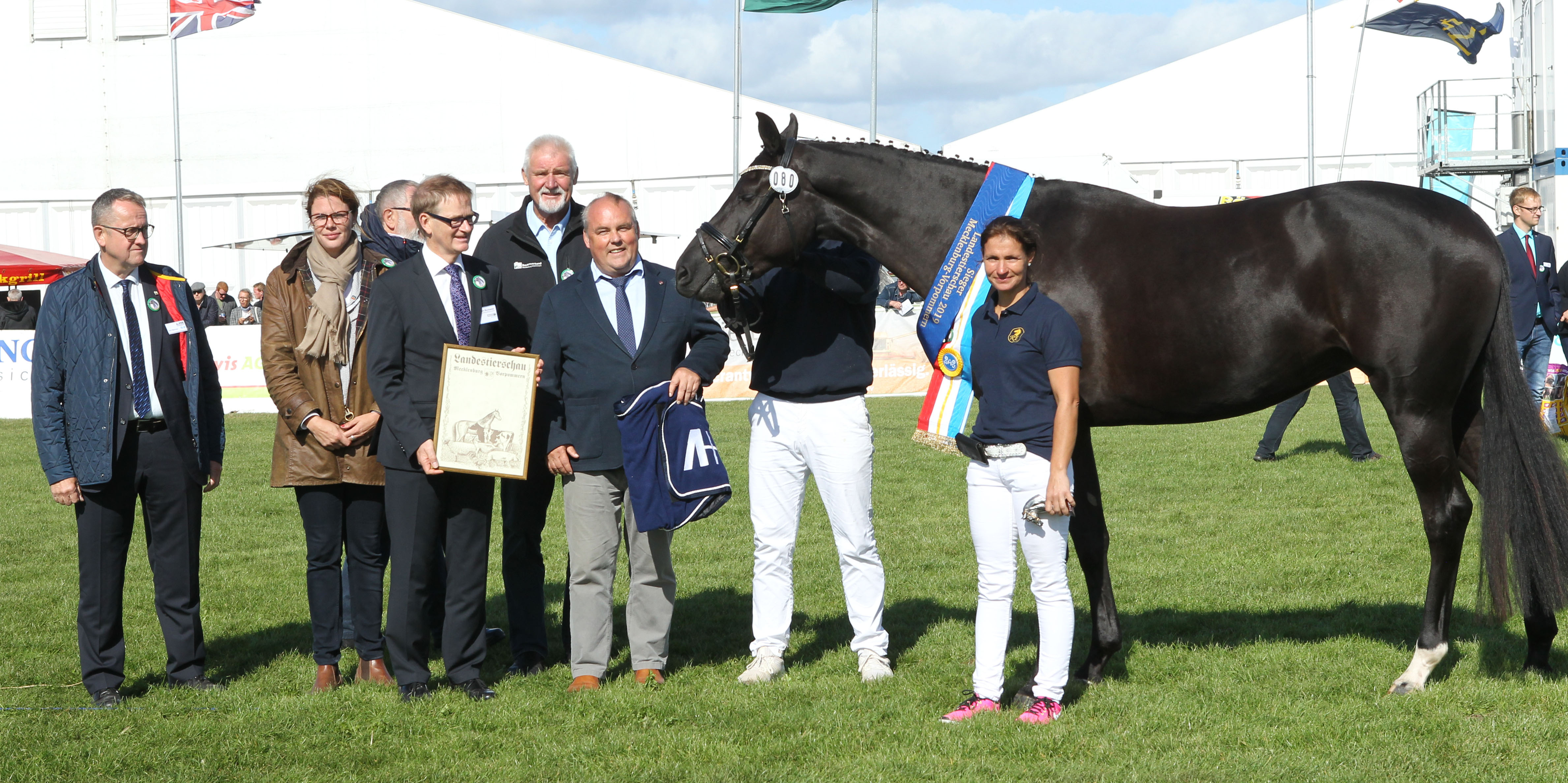 Siegerehrung für die Mecklenburger Siegerstute MEGAN von Millennium x Sancisco mit Besitzerin Sandra Engemann und weiteren Gratulanten. Foto: Jutta Wego