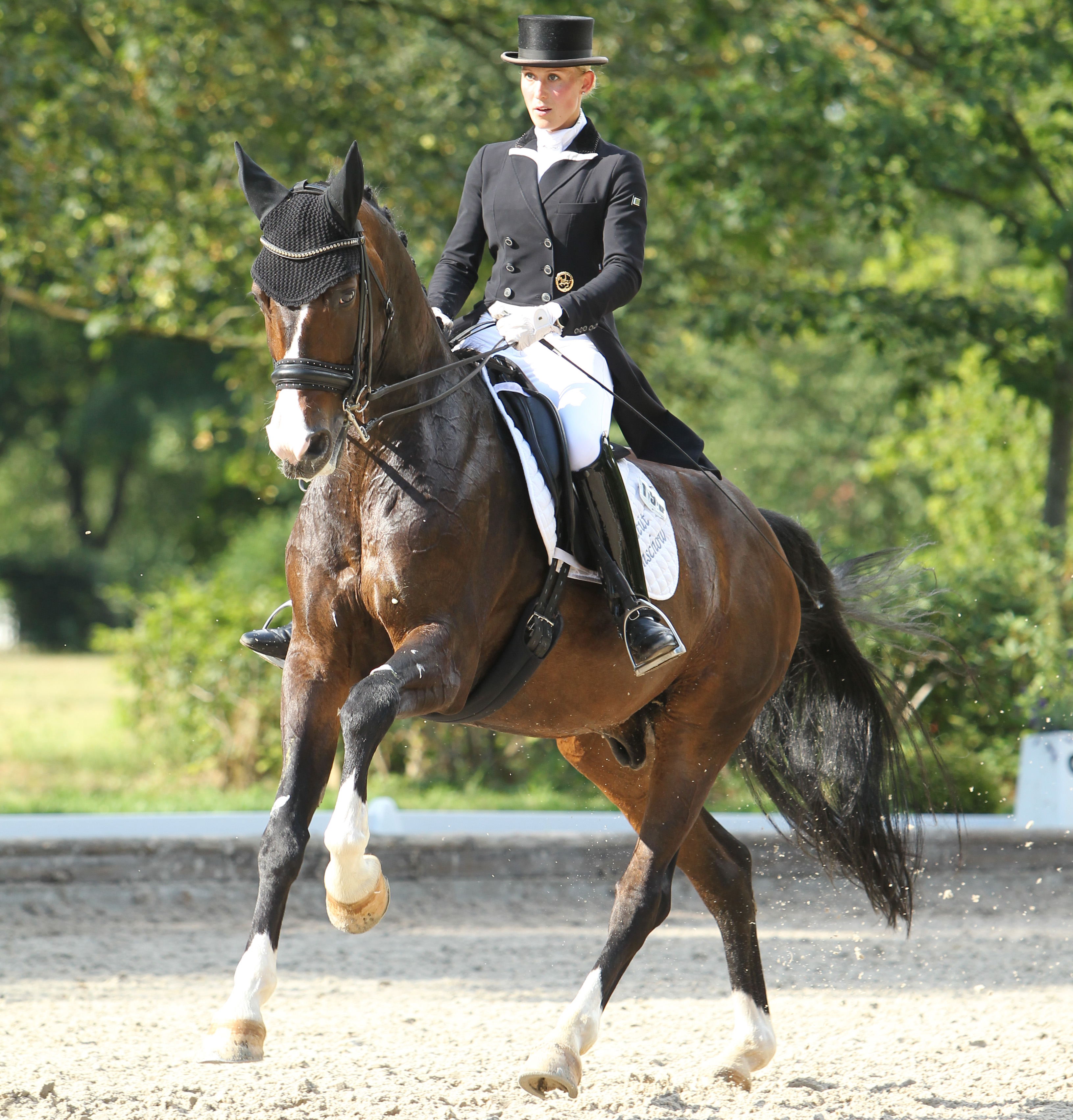 In der Dressur löst Vizelandesmeisterin Libuse Mencke (Gestüt Ganschow) Ronald Lüders von der Spitze ab, die 13.111 RLP erritten hat (hier mit ihrem Grand Prix Pferd Syrio). Foto: Jutta Wego