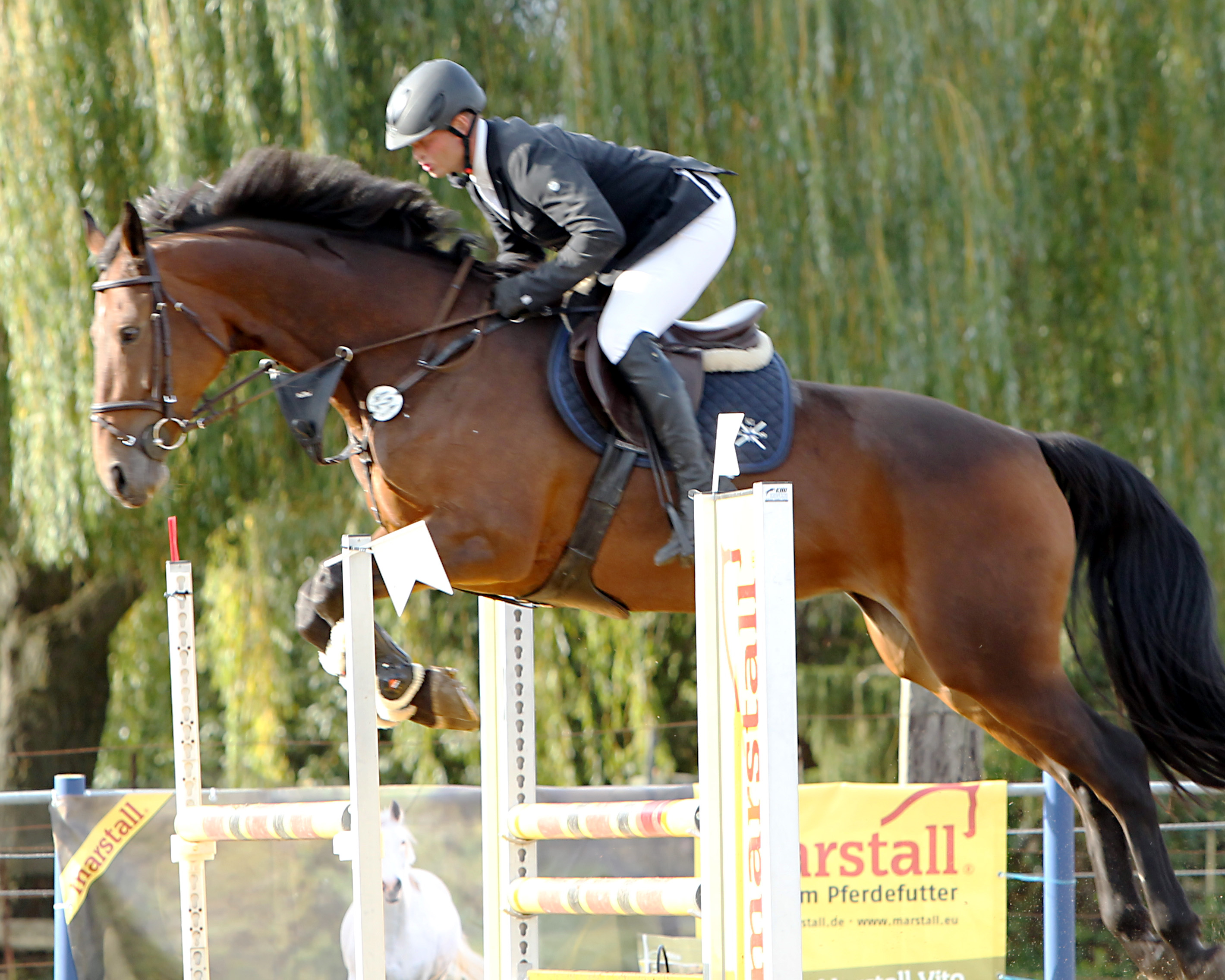 Sieger des Müritz-Pokals wurde Philipp Eppinger vom Kastanienhof Cramon auf Sternschnuppe, auf der er auch ein A-Springen gewann. Foto: Jutta Wego