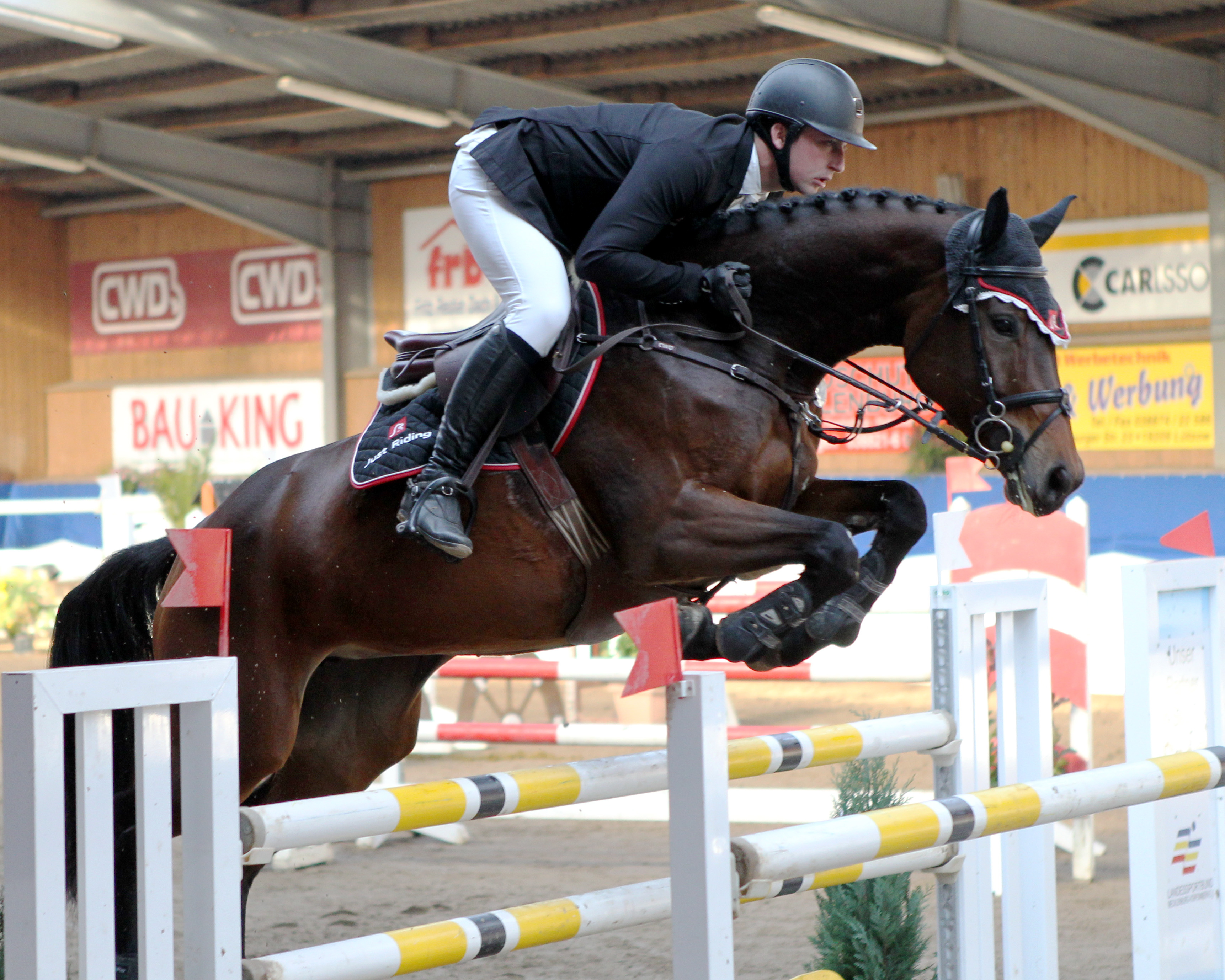 Erfolgreich ritt auch Paul Wiktor (Poel/Trent) in Chemnitz, der zu fünf Platzierungen kam (2 auf Cornadina - Foto), darunter ein Sieg. Foto: Jutta Wego