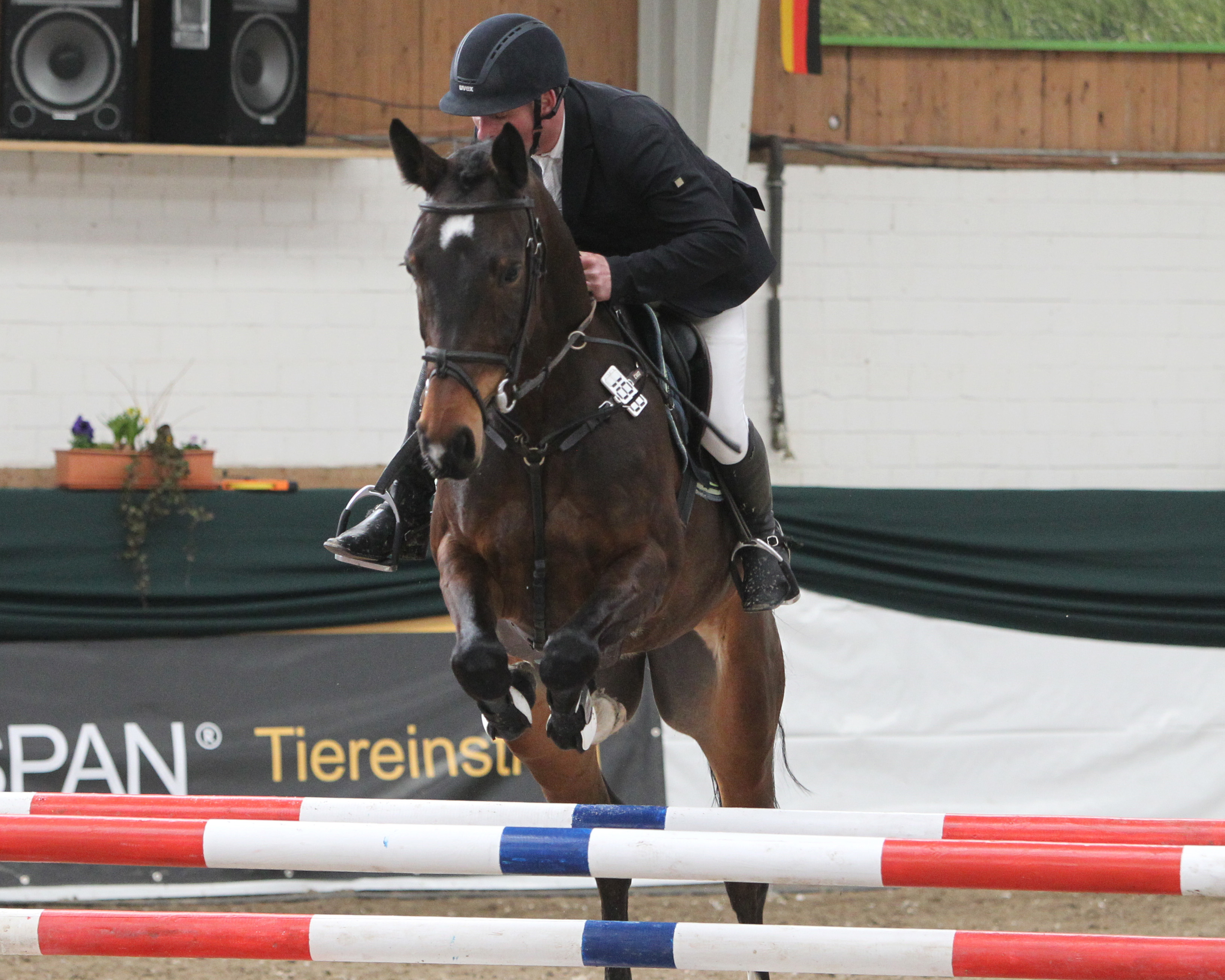 Zu zwei Siegen in der Großen Tour kam Jörg Möller (Garlitz). Das Zwei-Sterne M.-Springen gewann er auf der Stute Cora. Foto: Jutta Wego