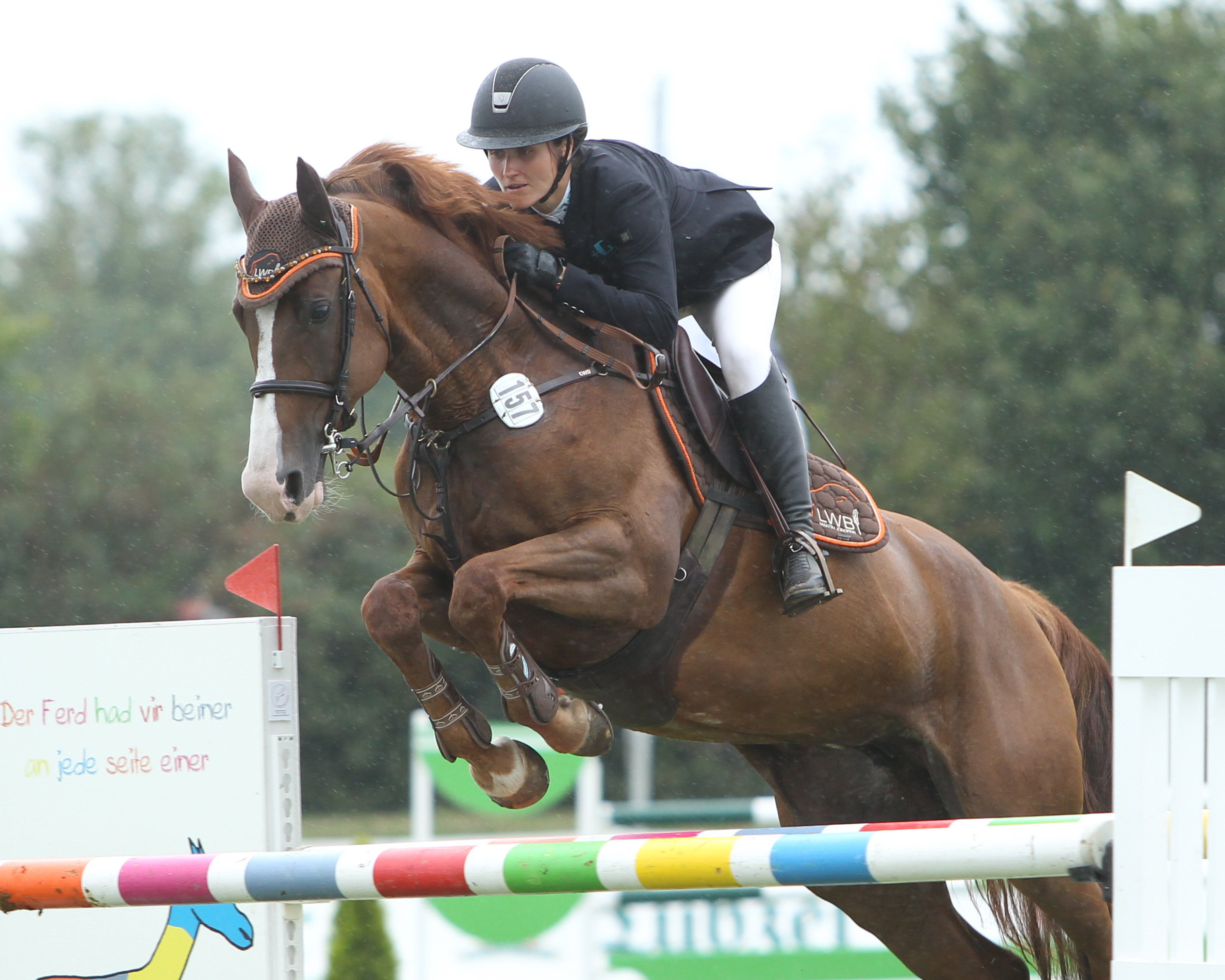 Anna Ebel-Jürgens gewann ein Zwei-Sterne M-Springen auf Charletta. Foto: Jutta Wego