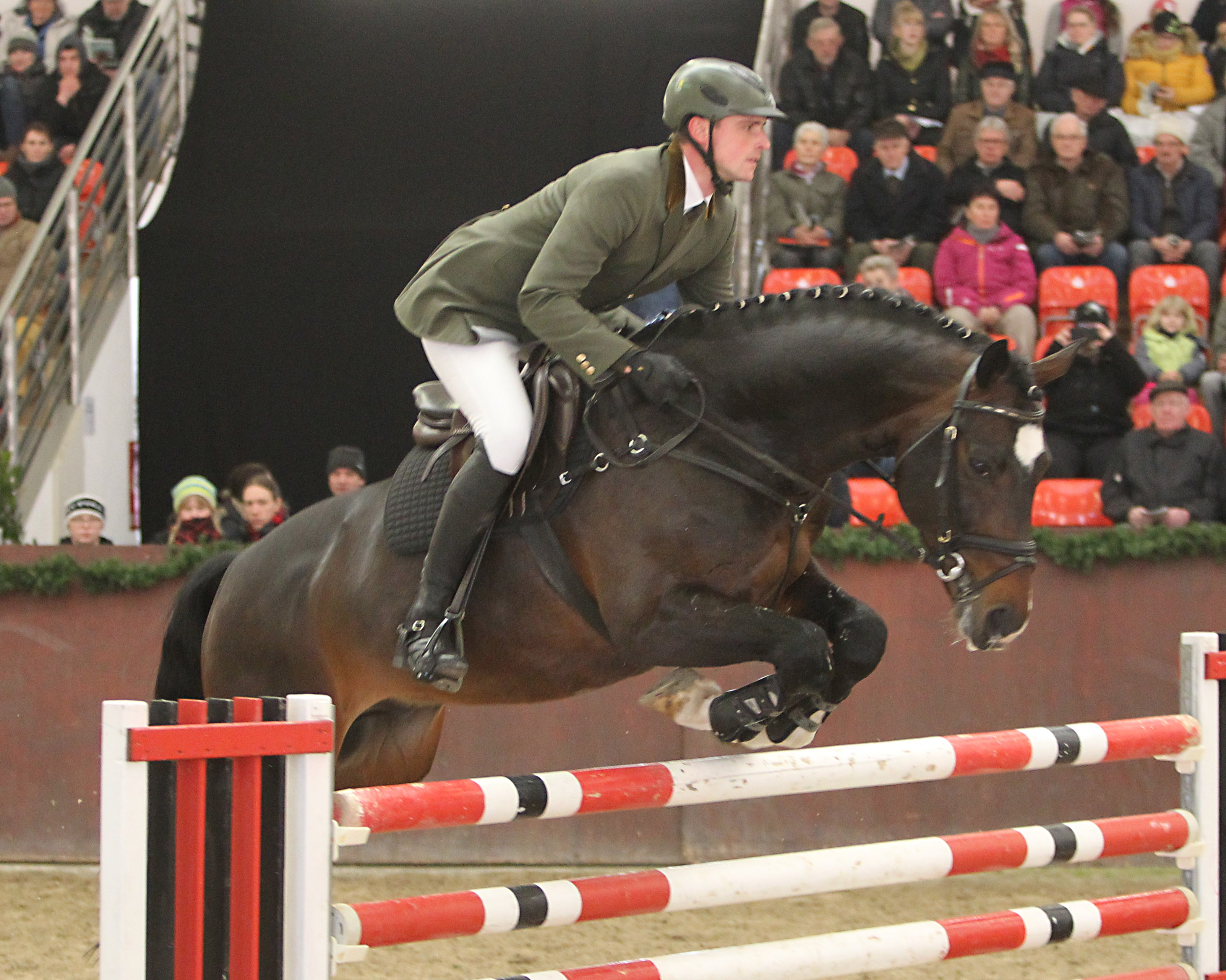 Zu den gefragtesten und erfolgreichsten Springhengsten des Landgestüts Redefin gehört der 8-jährige Mecklenburger Crawley (v. Cinsey / Champion de Cord), der unter Heiko Strohbehn am Jungpferdetag auch an den Start geht. Foto: Jutta Wego