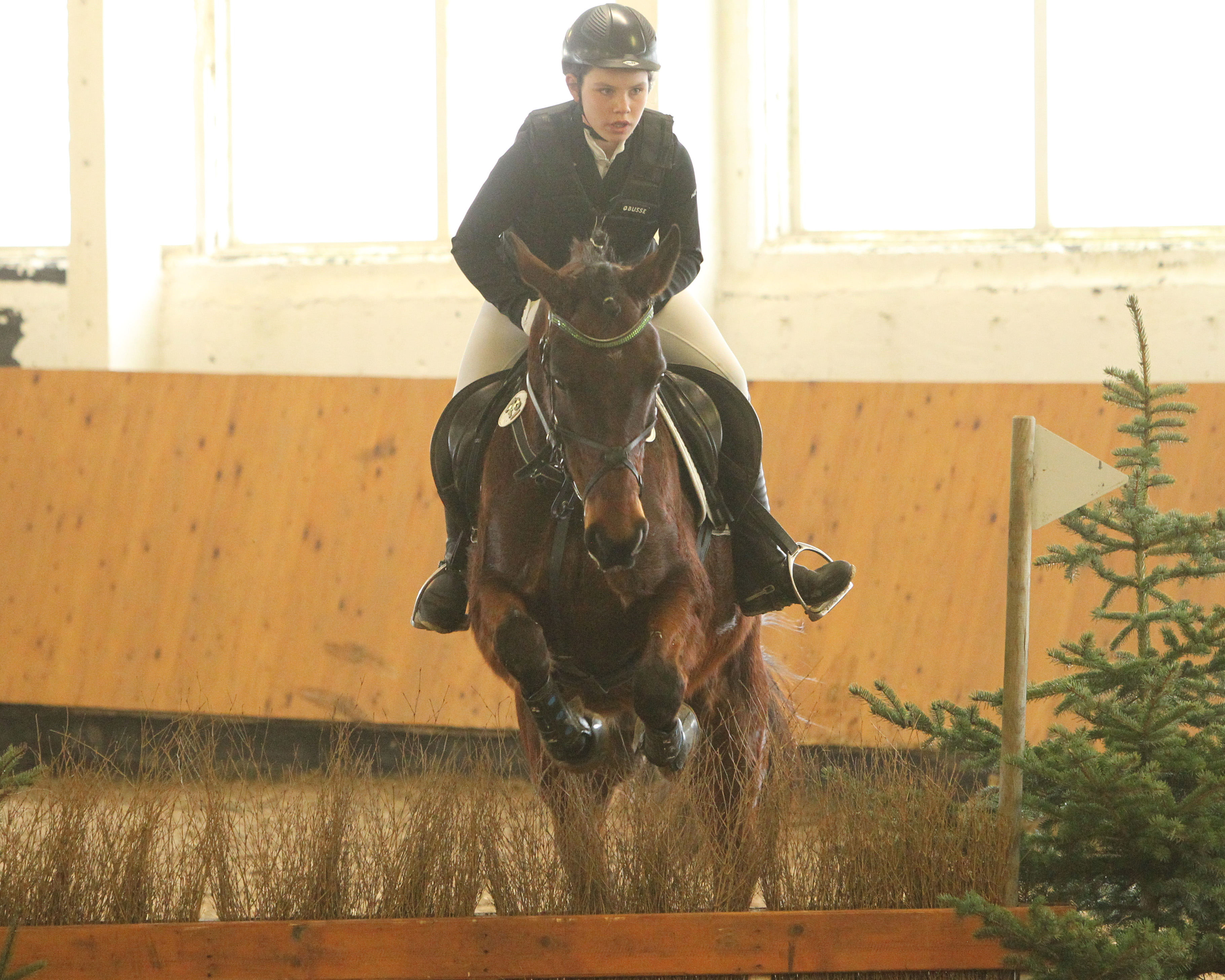 Ann-Katrin Staege mit GS Carthagus WayVielseitigkeits-Hallen-Landesmeister der U16 Children. Foto: Jutta Wego