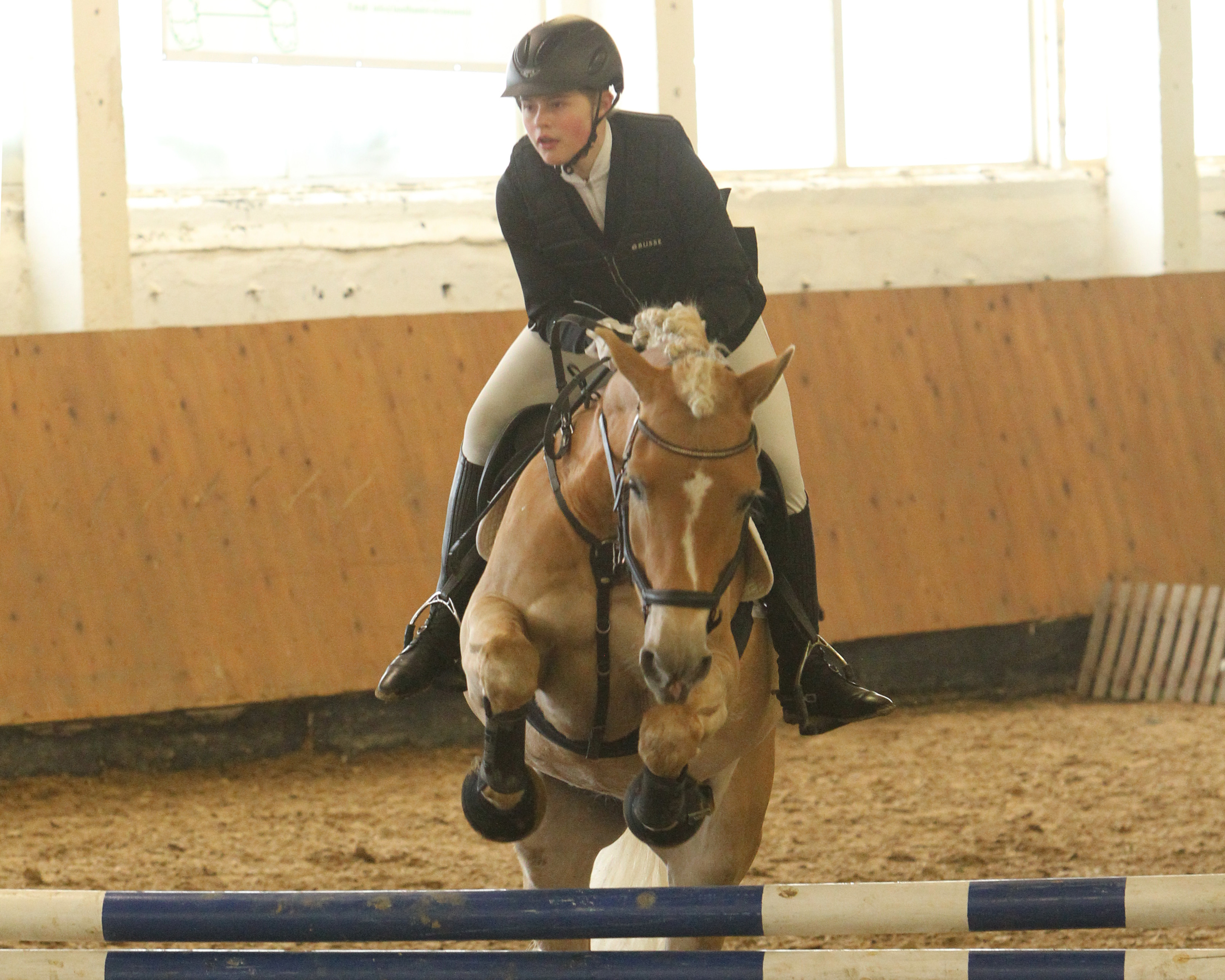 Hanna Lipka auf der Haflinger Stute Elka, die aus der Ponywertung heraus fiel, weil Elka das Ponymaß von 1,48m überschritten hat. Foto: Jutta Wego