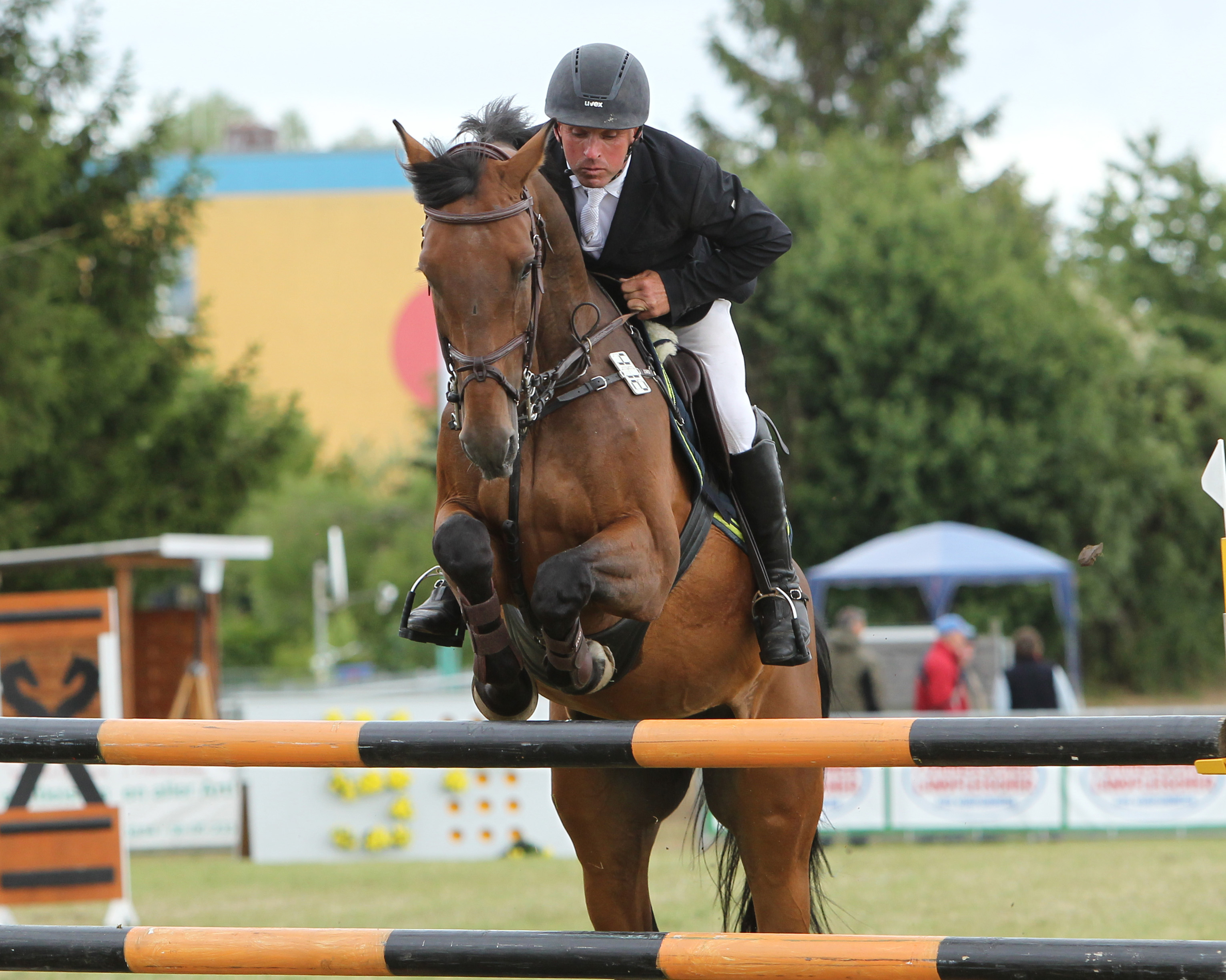 Gegen 65 Konkurrenten hat der 50-jährige Jörg Möller aus Garlitz am Sonntag mit dem 10-jährigen Lion Cor den Großen Zwei-Sterne-Preis in der Lüneburger Heide gewonnen. Foto: Jutta Wego