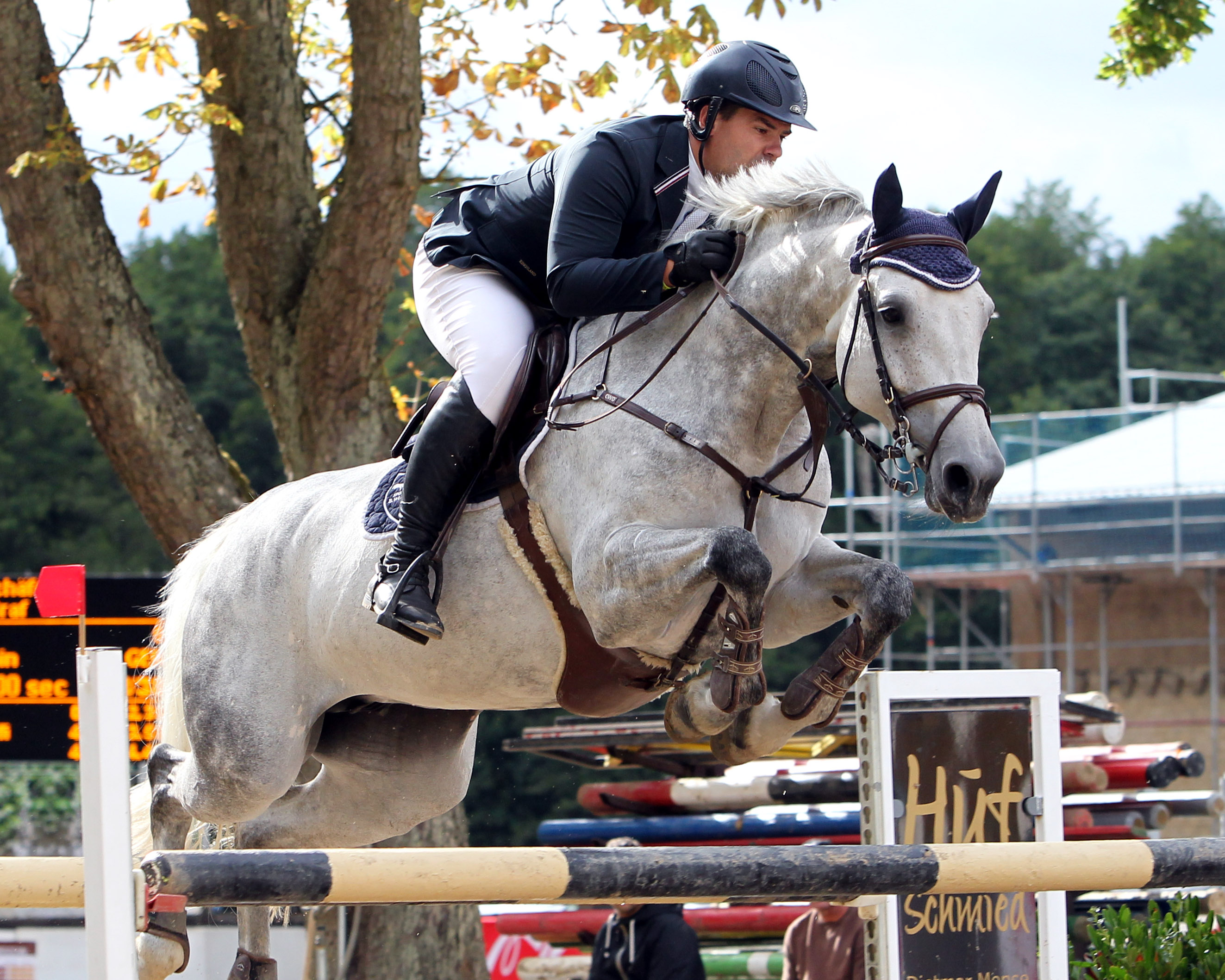 Zwei S-Siege und einen 2. Platz auf der Schimmelstute Agneta gab es für Benjamin Wulschner am Wochenende in Westergellersen. Foto: Jutta Wego