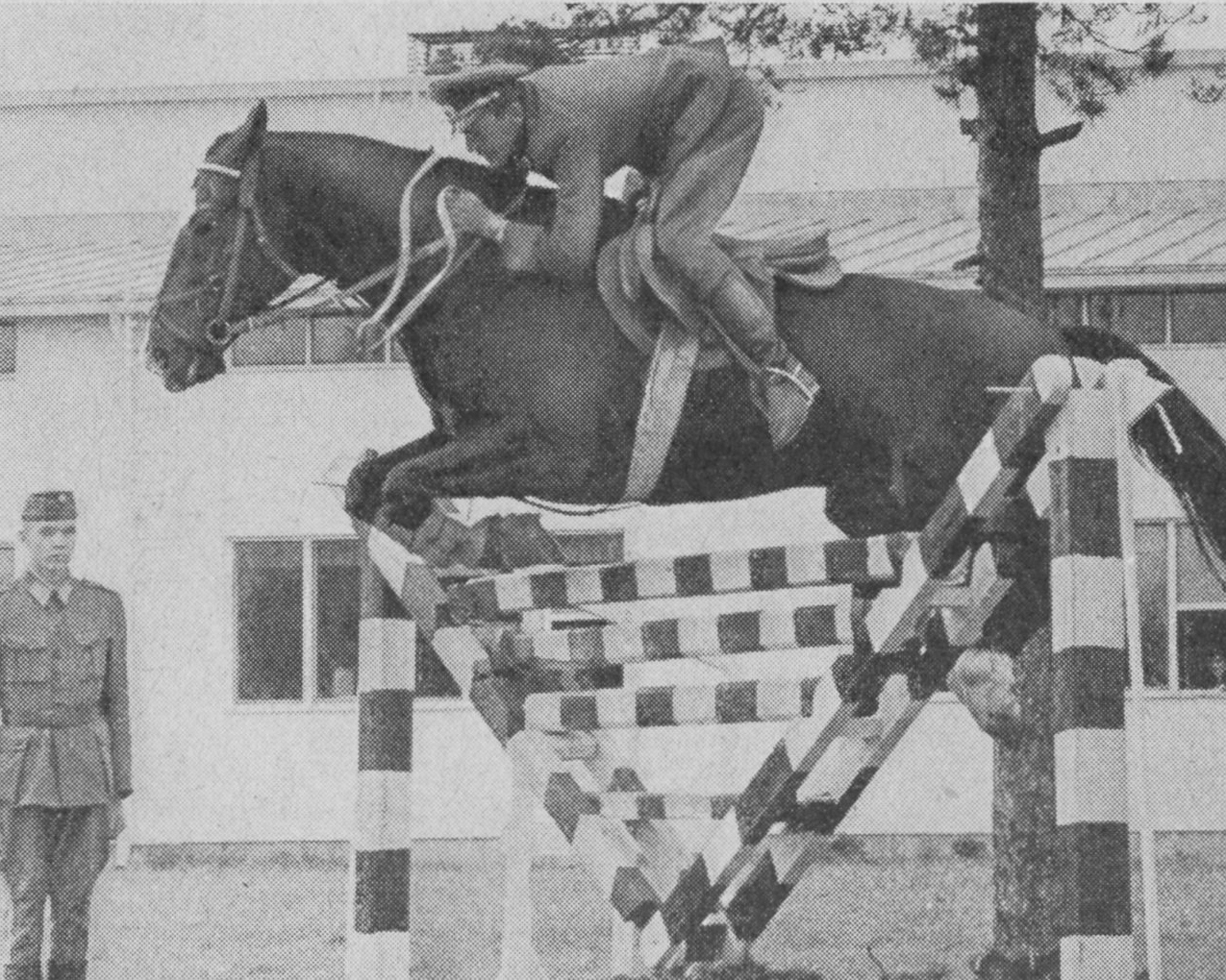 Zu den erfolgreichsten Reitern in den Anfangsjahren des DDR-Pferdesports gehörte Otto Fiege (hier mit Hradschin), der auch in Wimar erfolgreich war. (Pferd u. Sport der DDR)