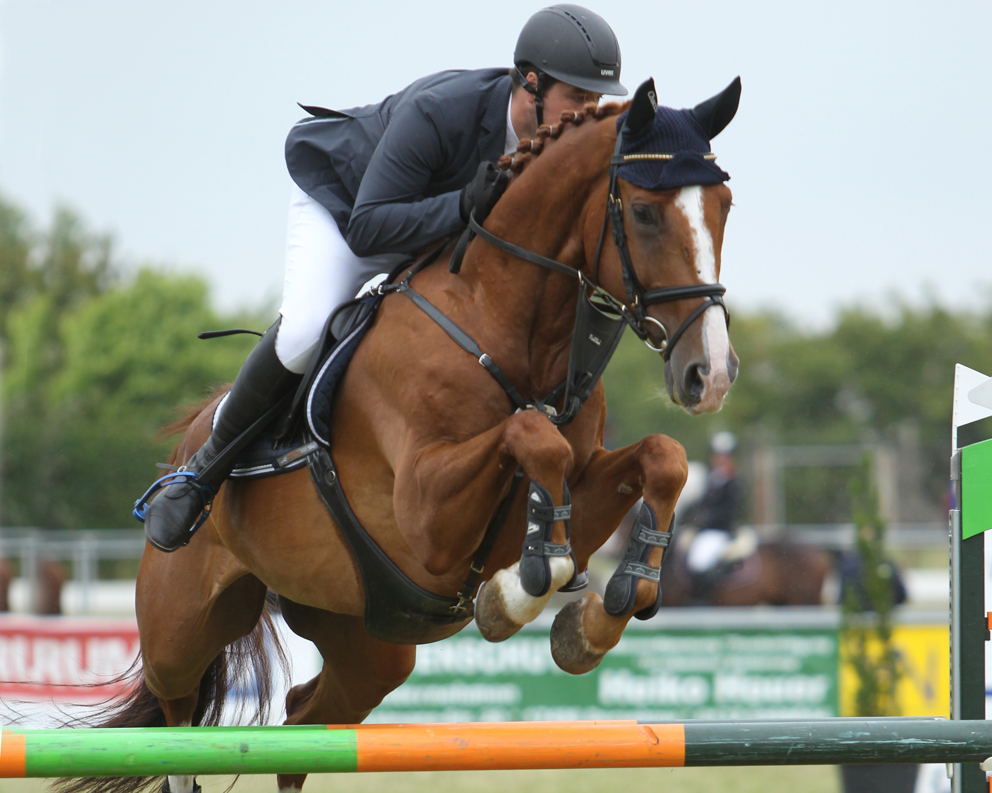 Auch am Samstag gab es ein M-Springen das Julian Sass (RSV Rothenburg) auf Chacco-Max im Stechen gewann. Foto: Jutta Wego