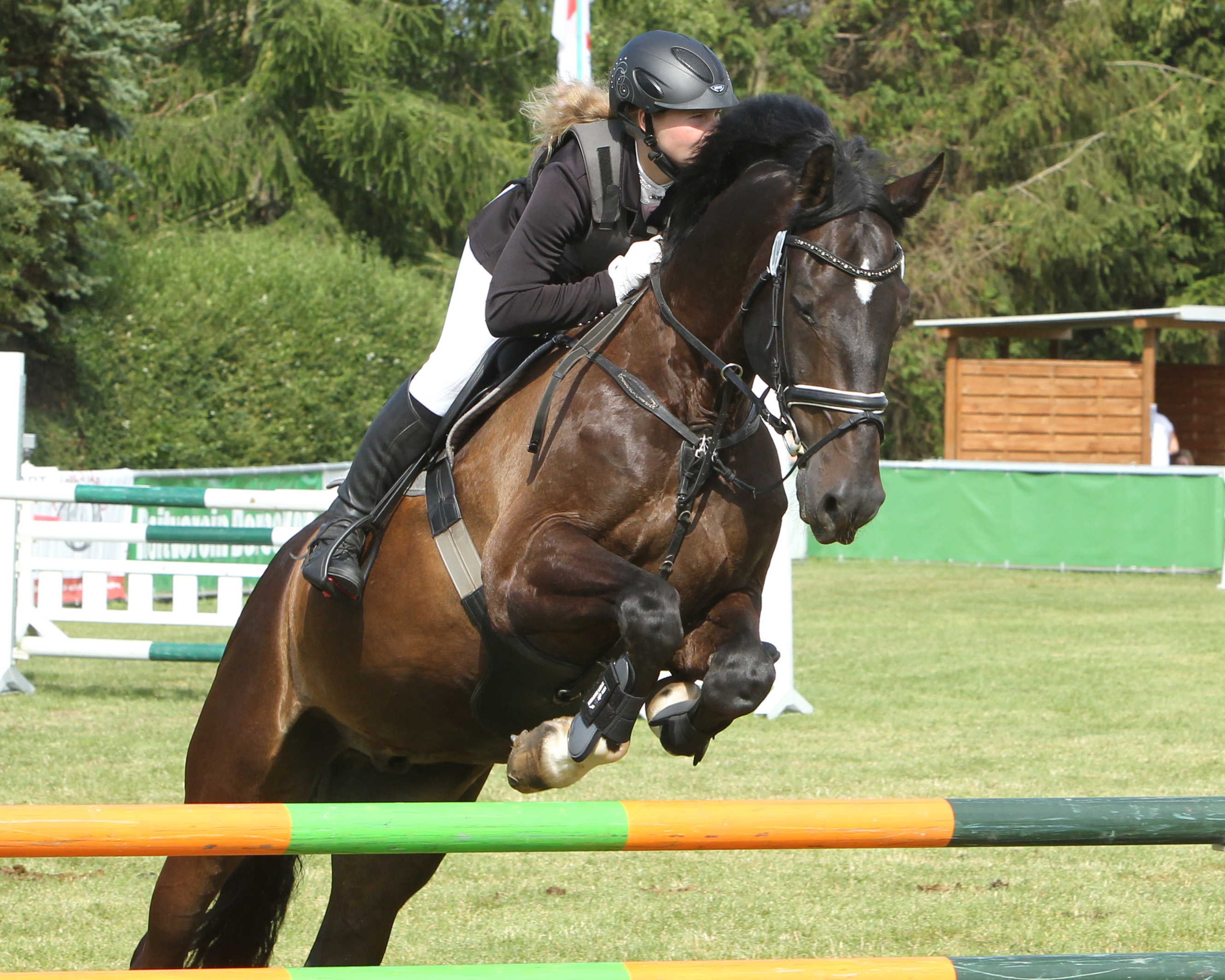 Die 25-jährige Pia Bertram vom Wolgaster RV gewann mit dem 14-jährigen Captain Jack Sparrow in Wildberg am Sonntag das M- und L-Springen. Foto: Jutta Wego