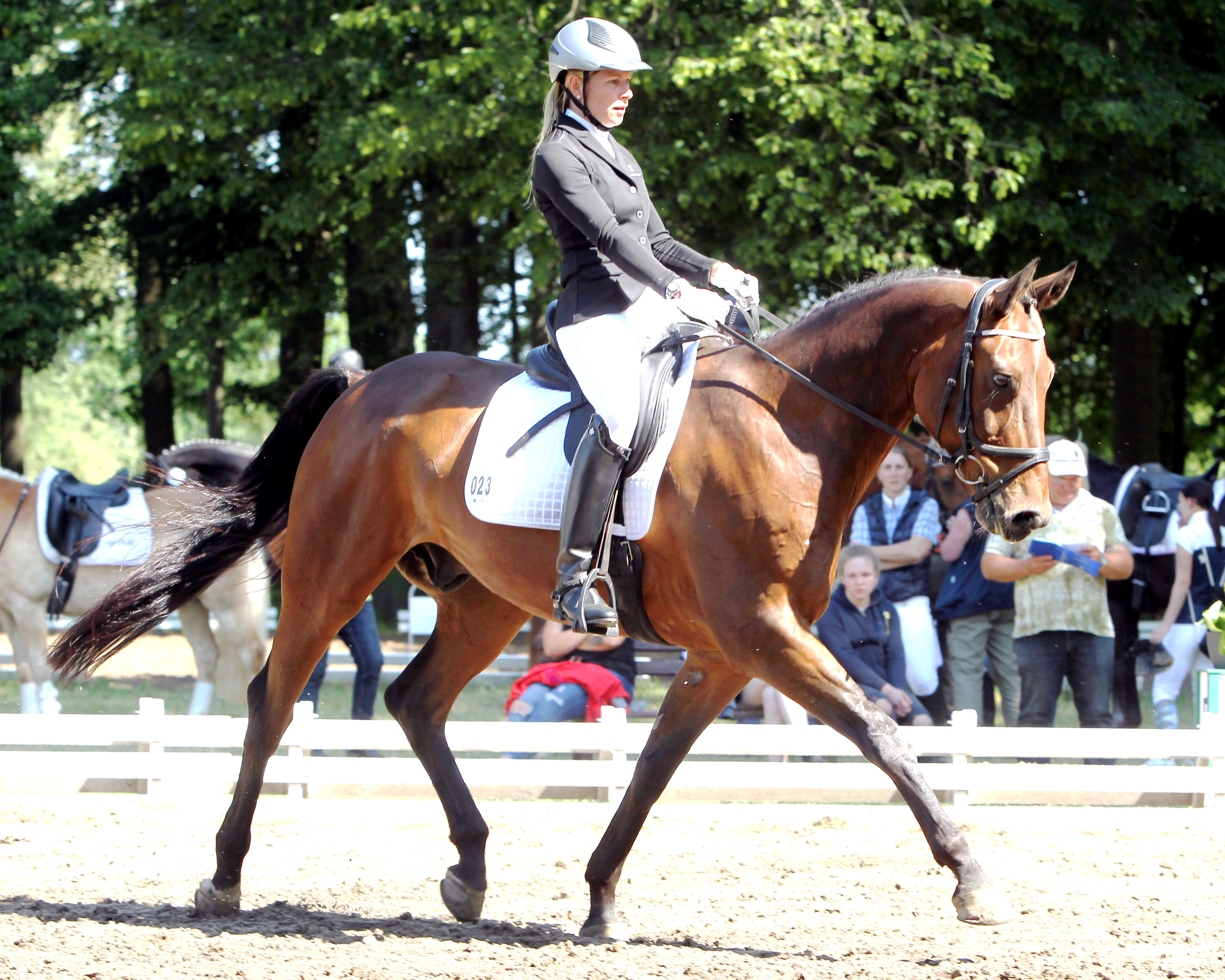 Doreen Rebentisch vom Gastgeber Wildberg konnte sich auf Bugati M in einer A-Dressur platzieren. Foto: Jutta Wego