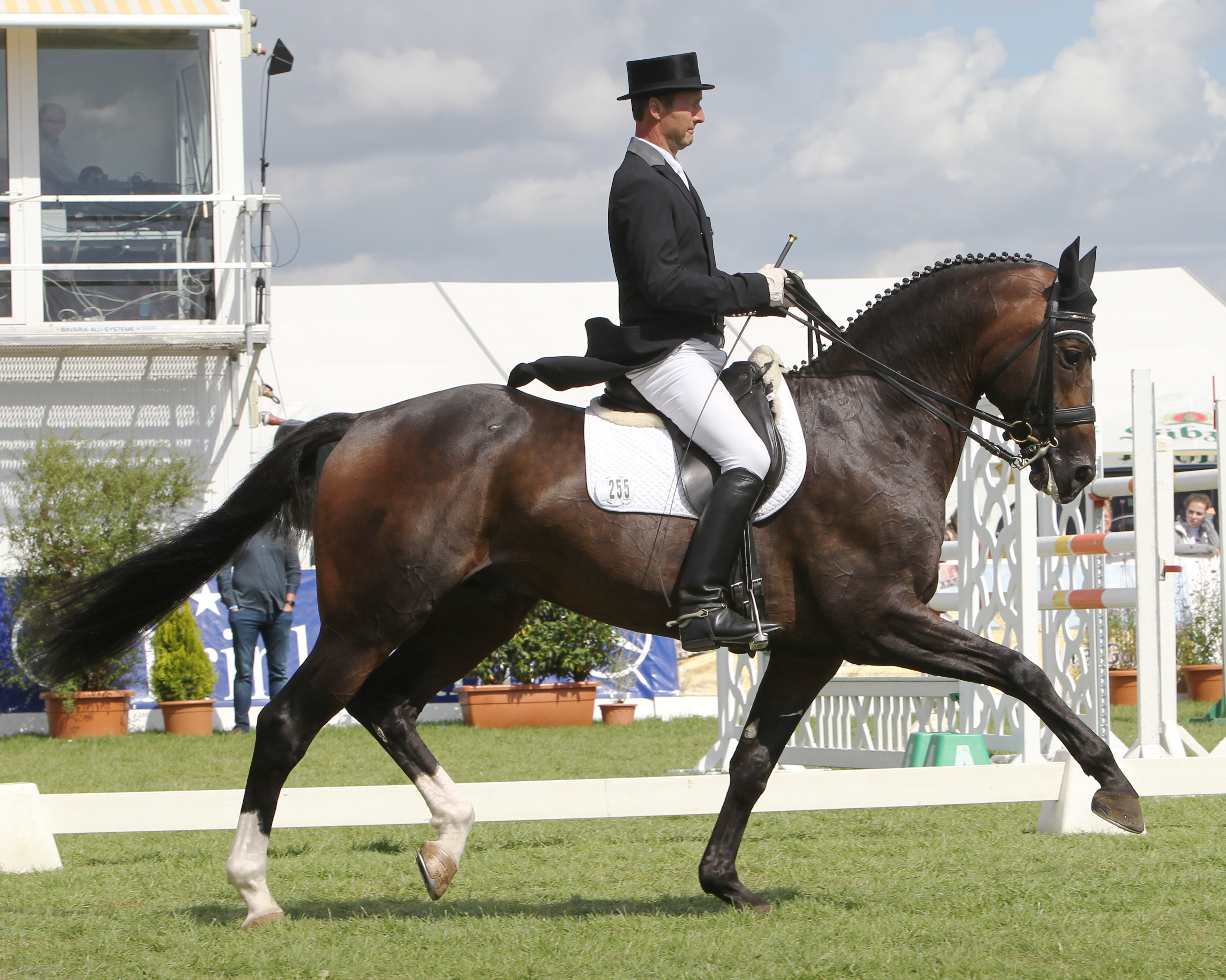 Ronald Rüders mit DSP Quantaz 2017 beim Sieg in der Intermediaire-Kür in Mühlengeez. Foto: Jutta Wego