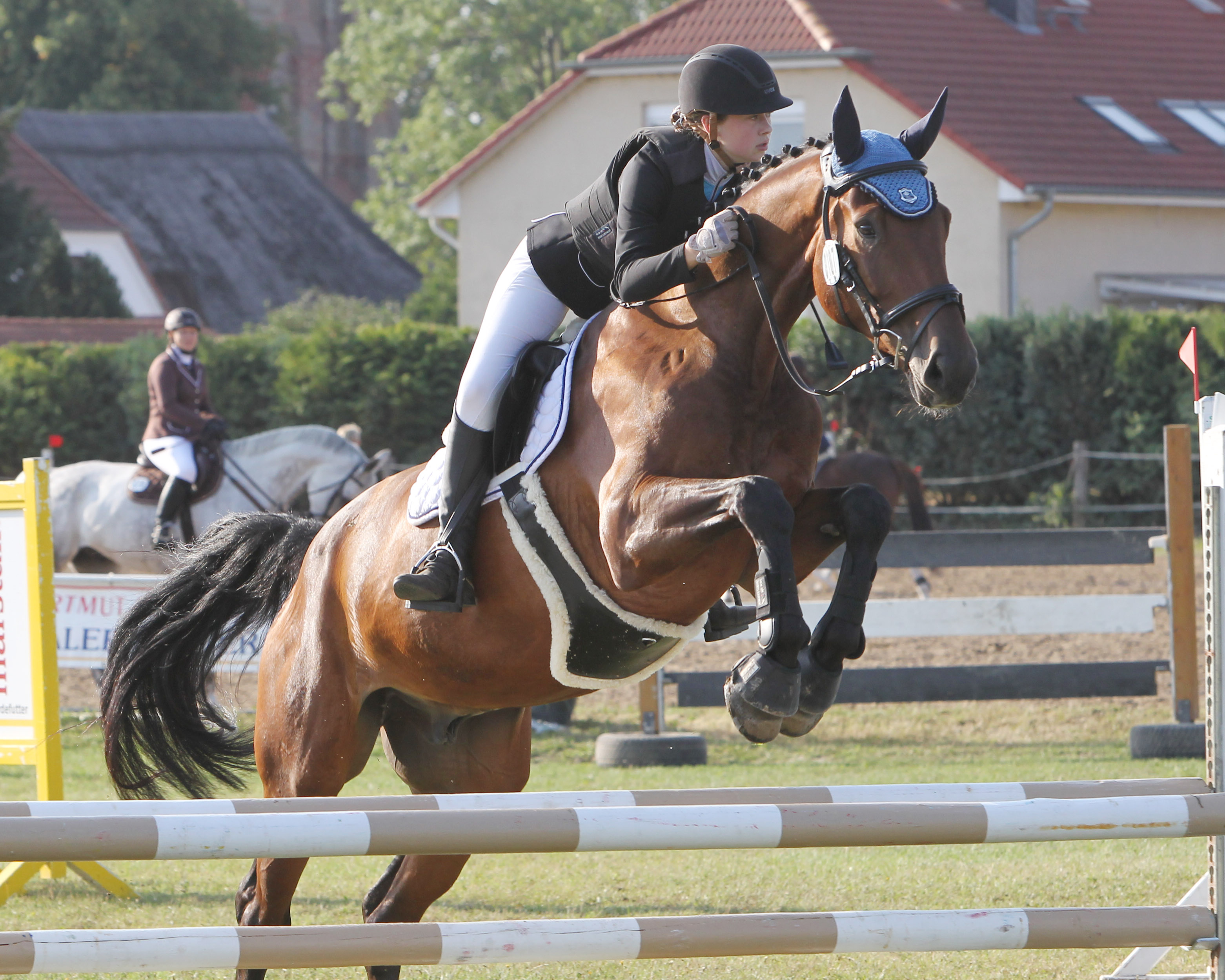 Zu den erfolgreichen Reiterinnen des Gastgebers Parkentin gehört die 18-jährige Anna-Victoria Beyer, deren Pferd Delpino noch von ihrem verstorbenen Opa Peter Beyer gezüchtet wurde. Foto: Jutta Wego