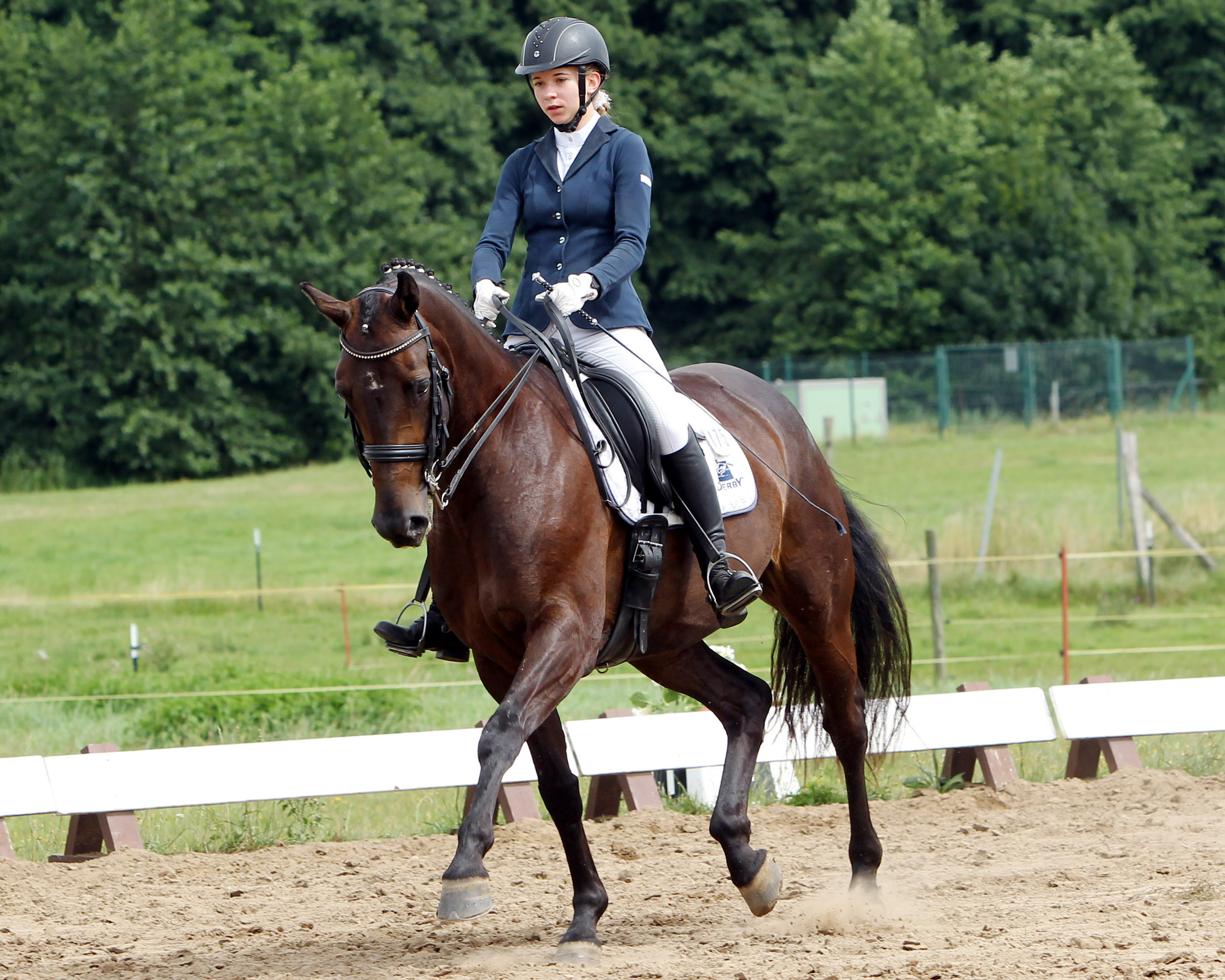 Zu den Favoritinnen auf den Landesmeistertitel in der Altersklassen U18 gehört die 16-jährige Carolina Romanowski aus Stülow mit der Mecklenburger Staatsprämienstute Donnerfee. Foto: Jutta Wego