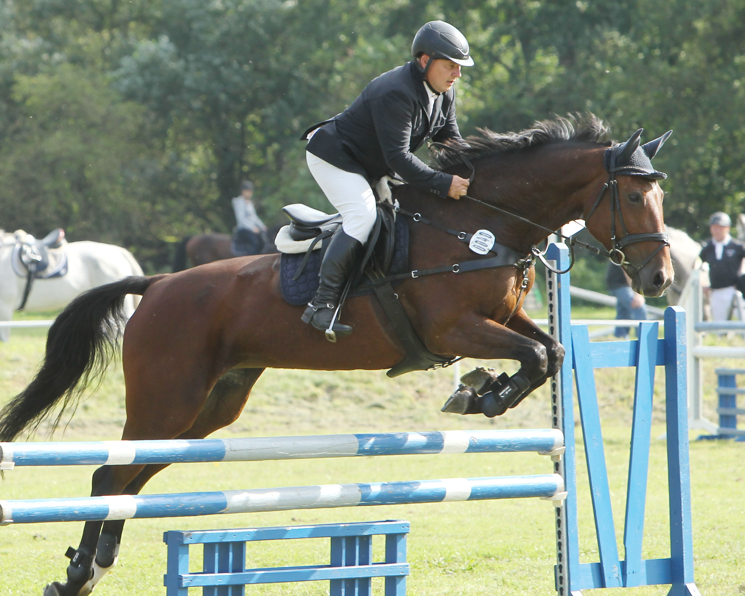 Beim 2. Wertungsturnier im Senioren-Springcup gewann Turnierleiter Enrico Finck, der auch Ideengeber des Cups ist, mit Cronau die 2. Wertungsprüfung der großen Tour. Foto: Jutta Wego