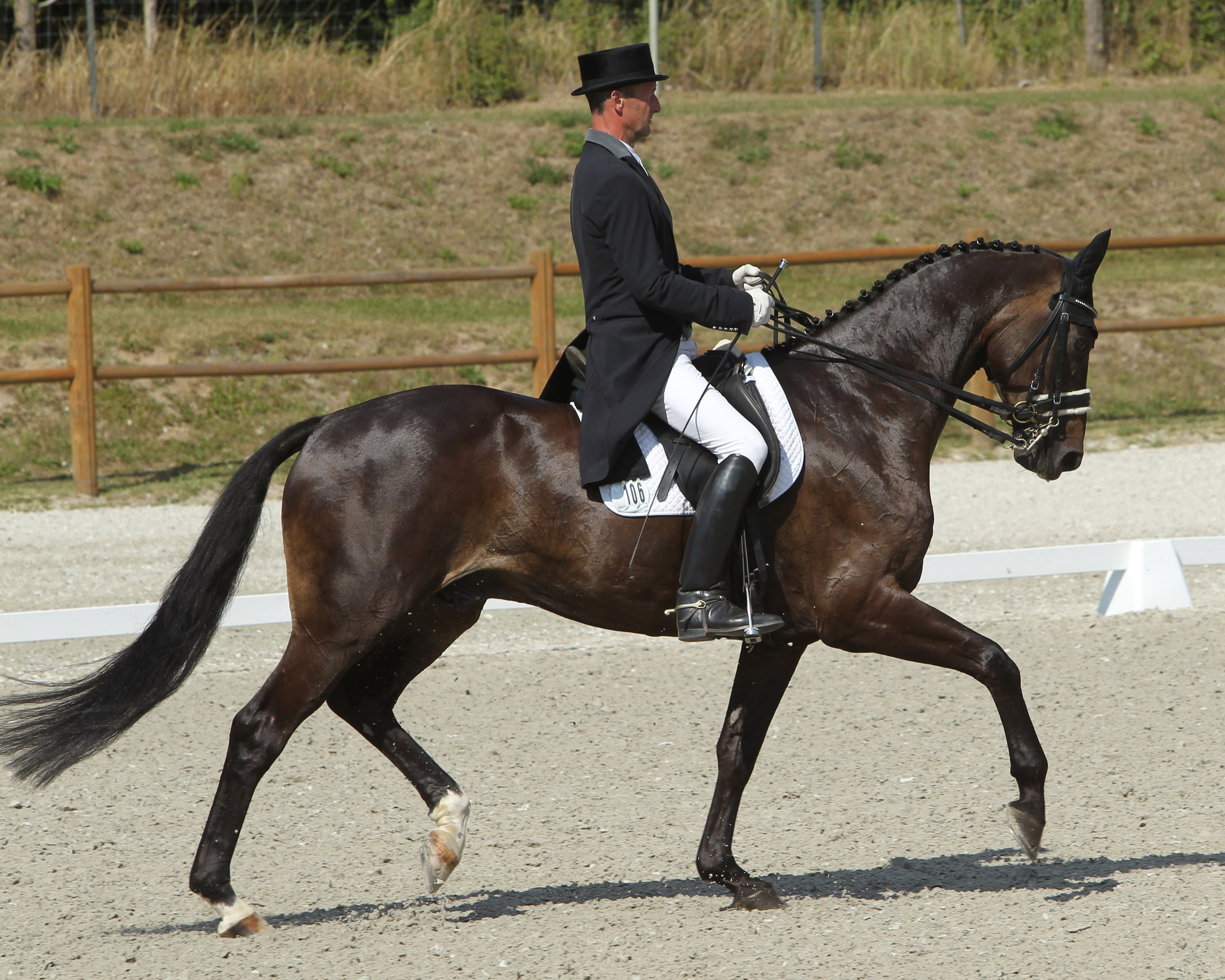 Goldmedaille Ronald Lüders (RV Güstrow) mit Royal Rubiniro. Foto: Jutta Wego