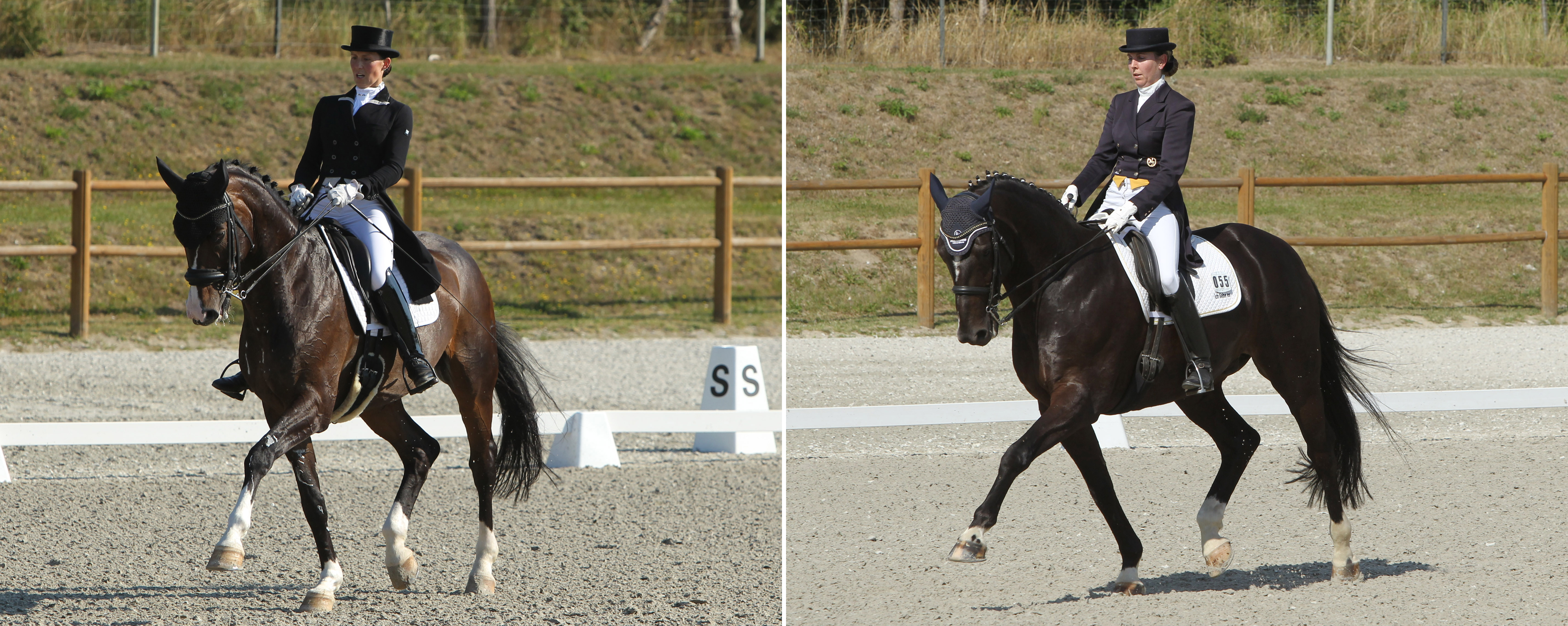 Links: Silbermedaille Libuse Mencke (RFV Gestüt Ganschow) mit Sandokan (hier auf Syrio. Rechts Bronzemedaille Christina Thieme (RFV Landgestüt Redefin) mit Dozent. Fotos: Jutta Wego