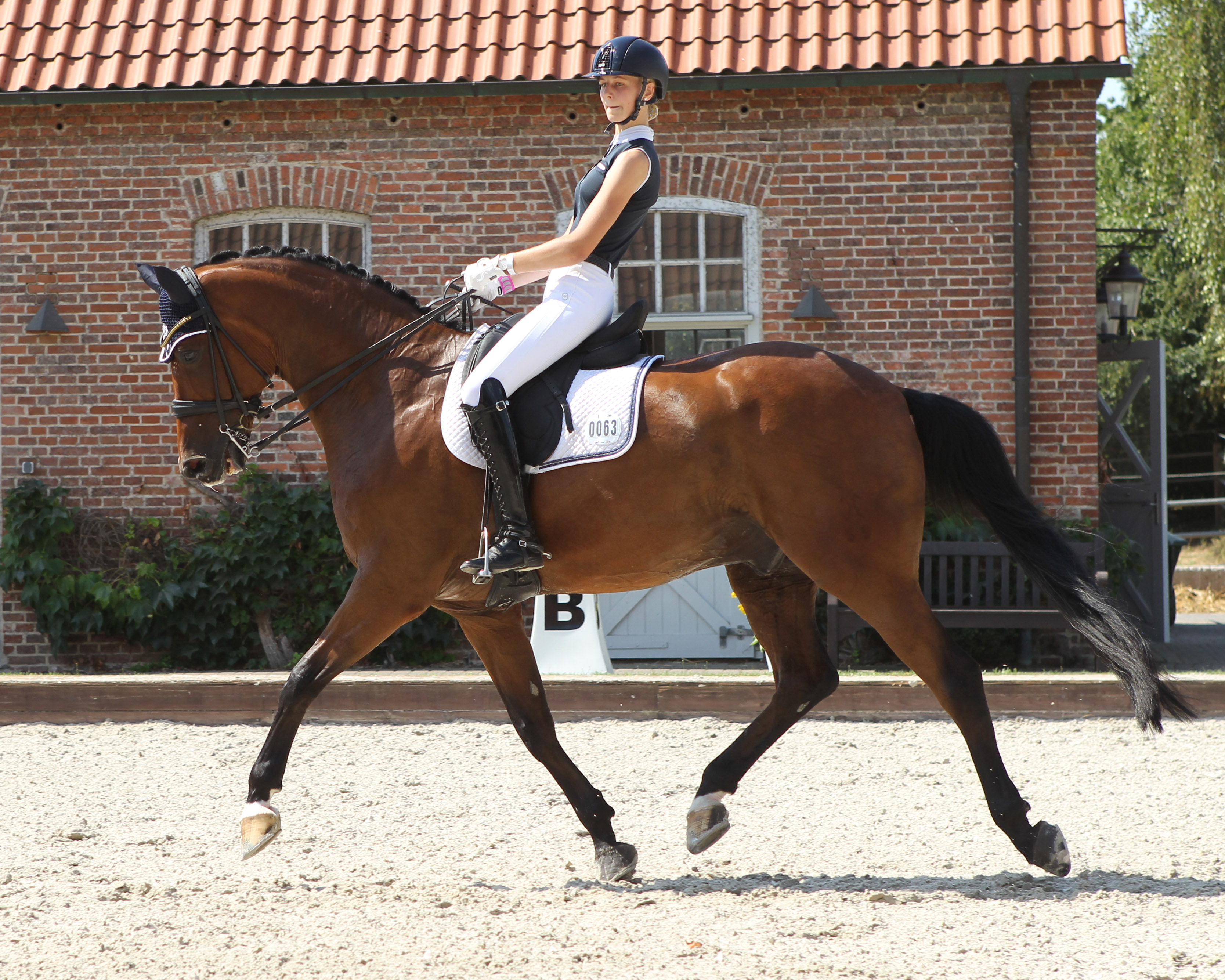 Goldmedaillengewinnerin Caroline Lass (RSG Wöpkendorf) mit Feliciano. Foto: Jutta Wego