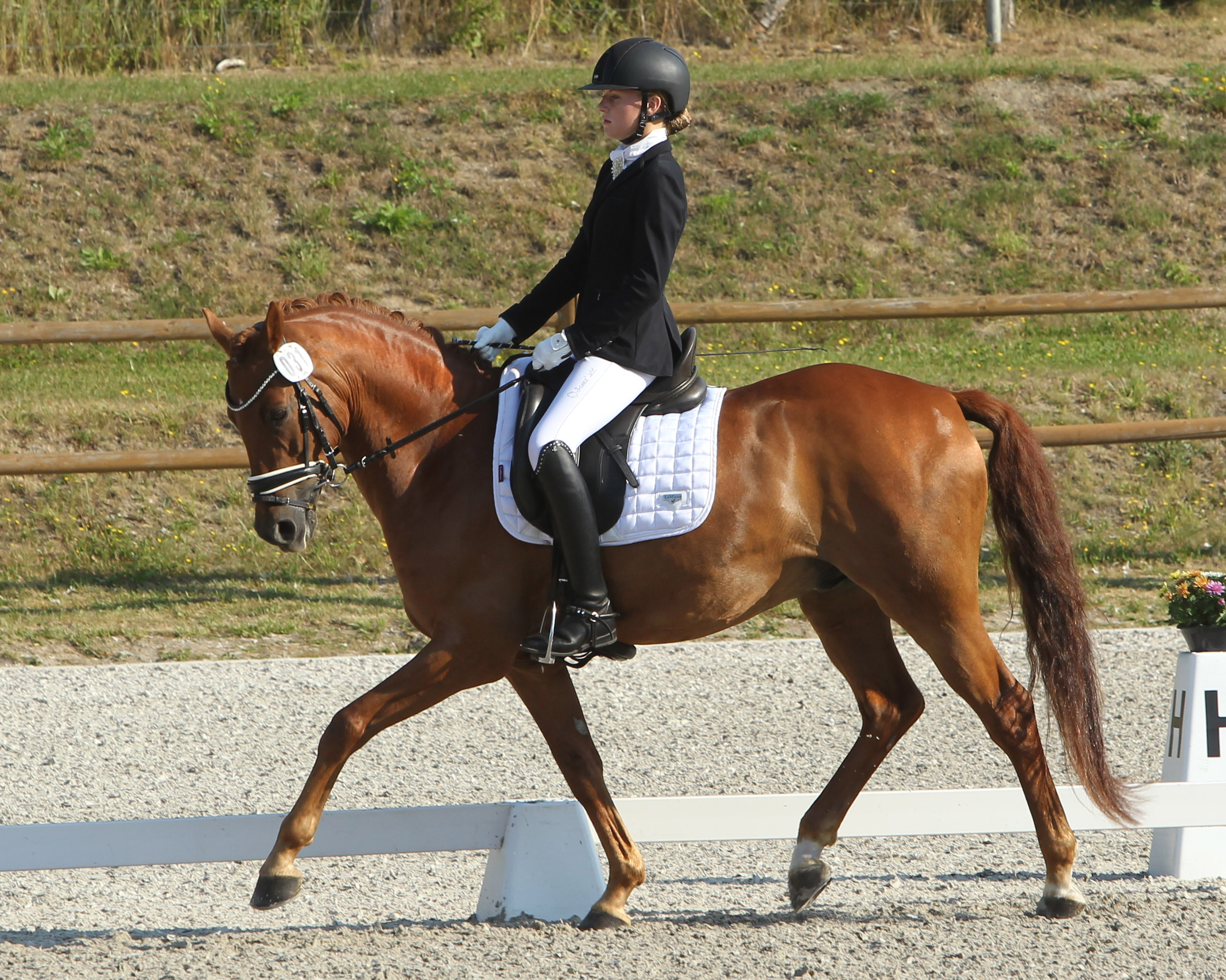 Goldmedaillengewinnerin Larissa Bohnstedt (RFV Plau am See) mit Constantini. Foto: Jutta Wego