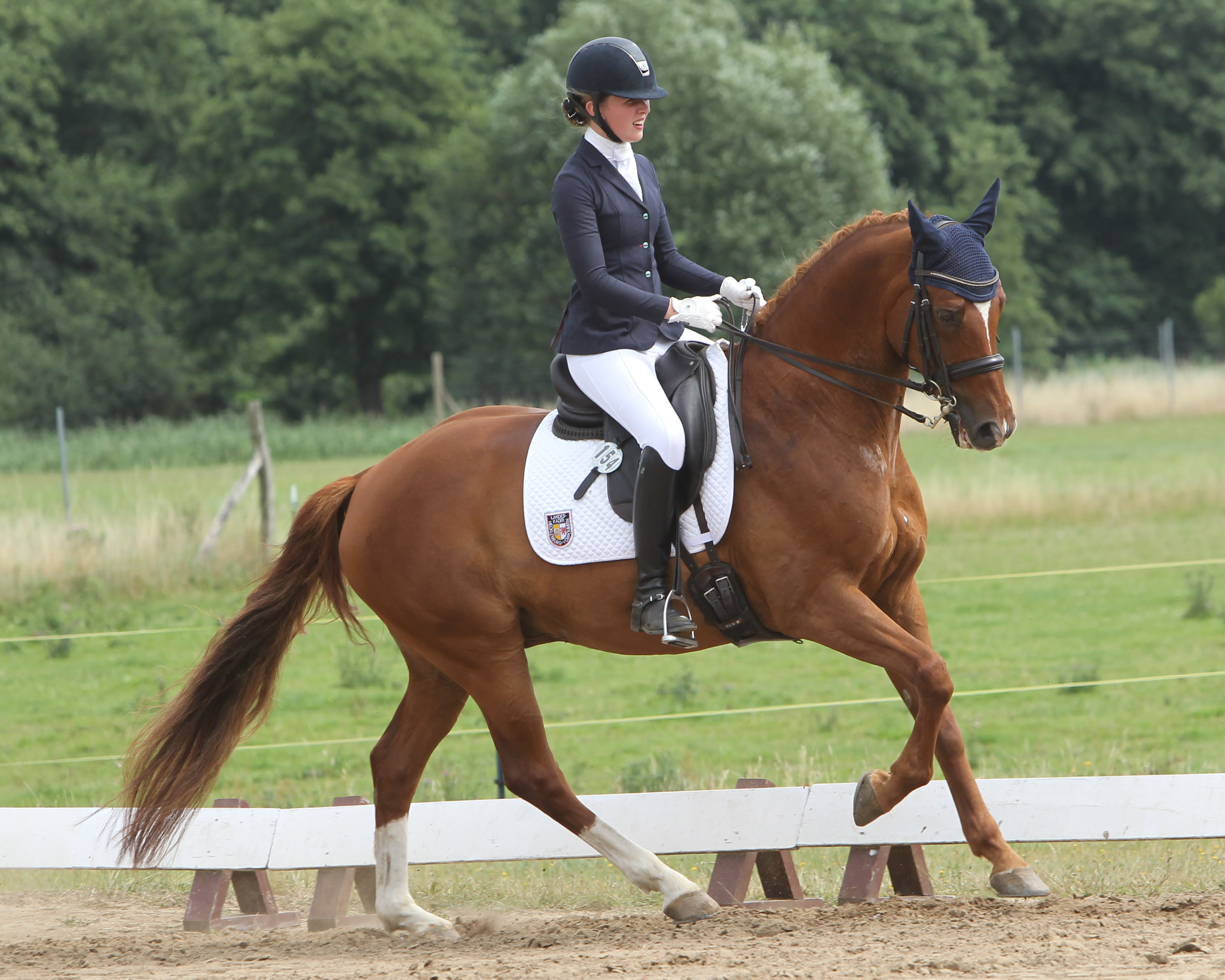 Goldmedaillengewinnerin Saskia Deutz (SV Robinson Fleesensee) mit Soyala. Foto: Jutta Wego