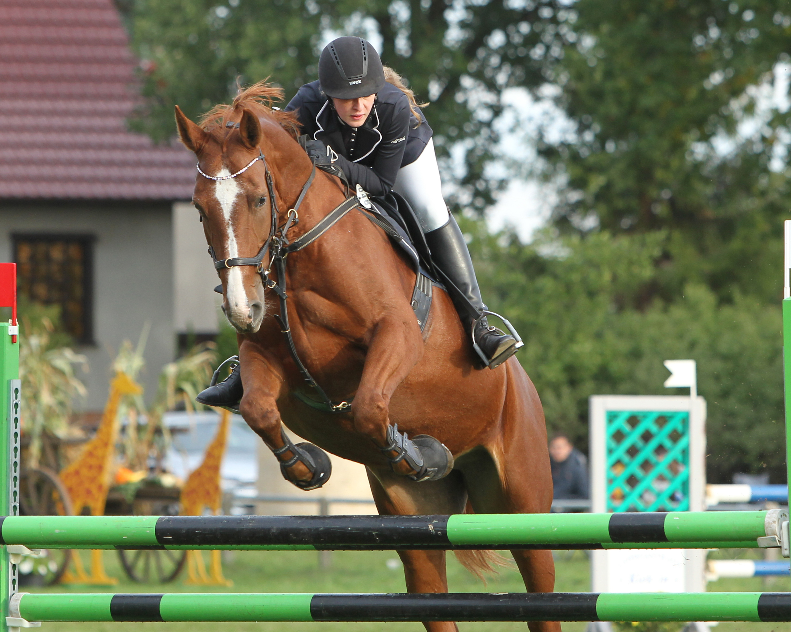 Zu den aktuell erfolgreichen Reiterinnen des Gastgebers Parkentin gehört auch die 23-jährige Madlen Schwarz, die sich mit Brie Bella zuletzt in Cramon platzierte. Foto: Jutta Wego