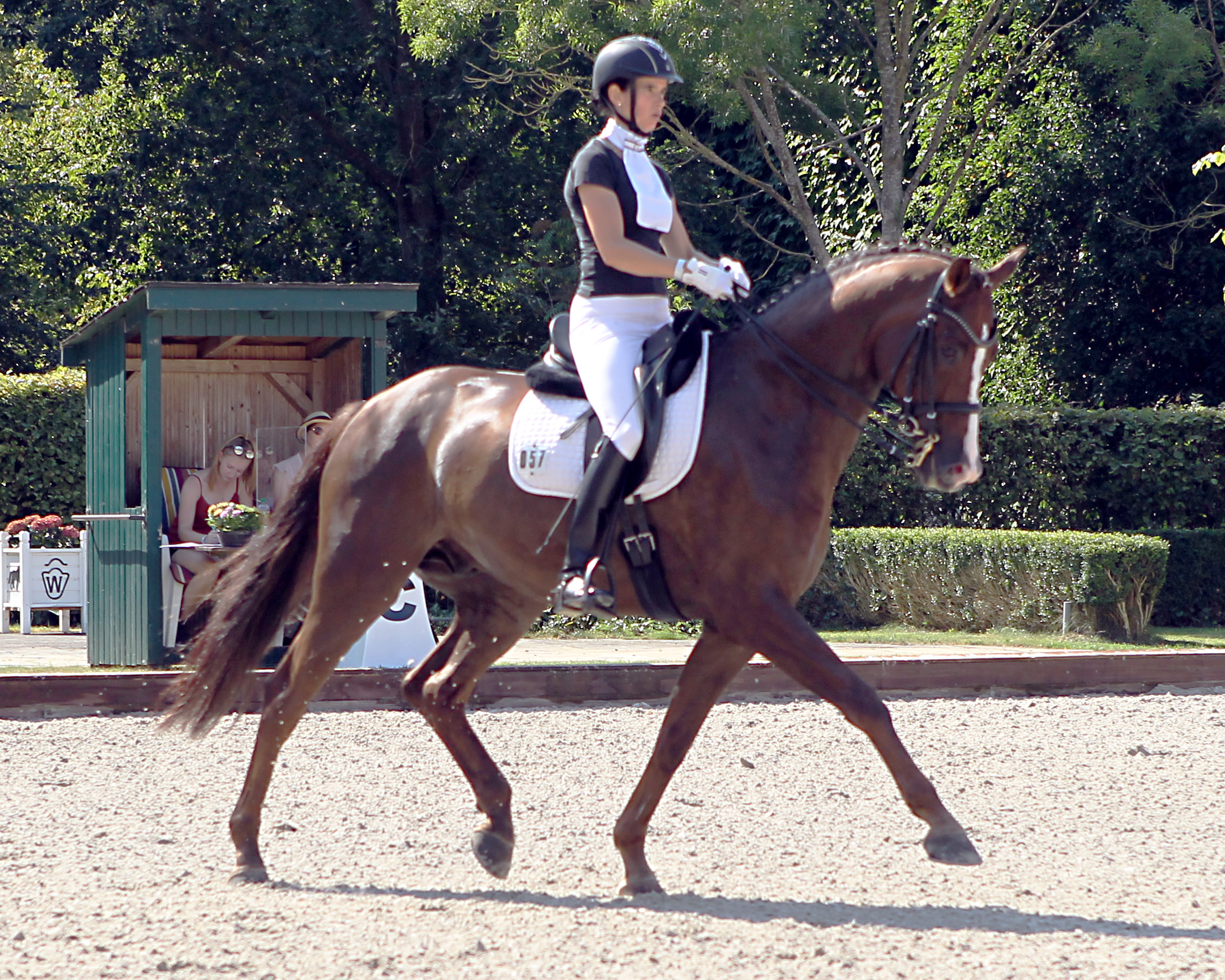 Nach Siegen in L-Dressuren 2019 gab es für Andrea Elsholz aus Zierow nun in Güstrow einen M-Sieg auf dem 9-jährigen Mecklenburger Duke of Harms. Foto: Jutta Wego