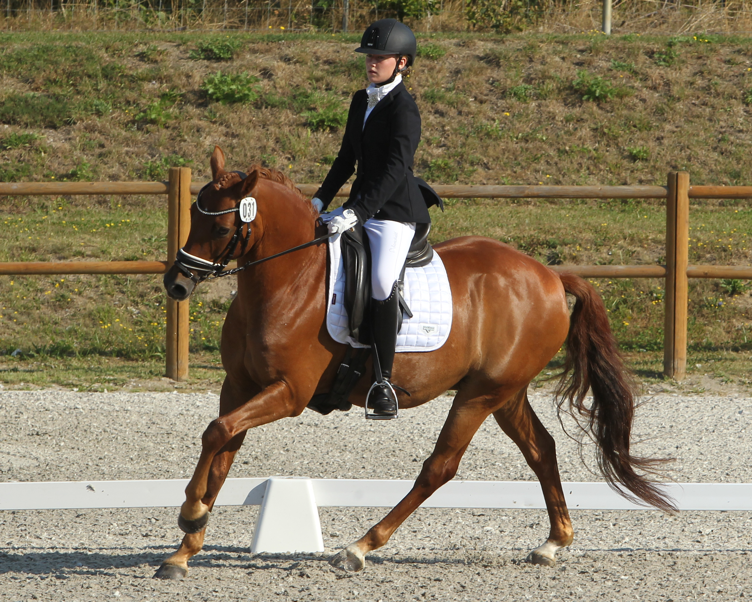 Die Zwei-Sterne A-Dressur gewann die frisch gekürte Pony-Landesmeisterin Larissa Bohnstedt (RFV Plau am See) auf Constantini. Foto: Jutta Wego