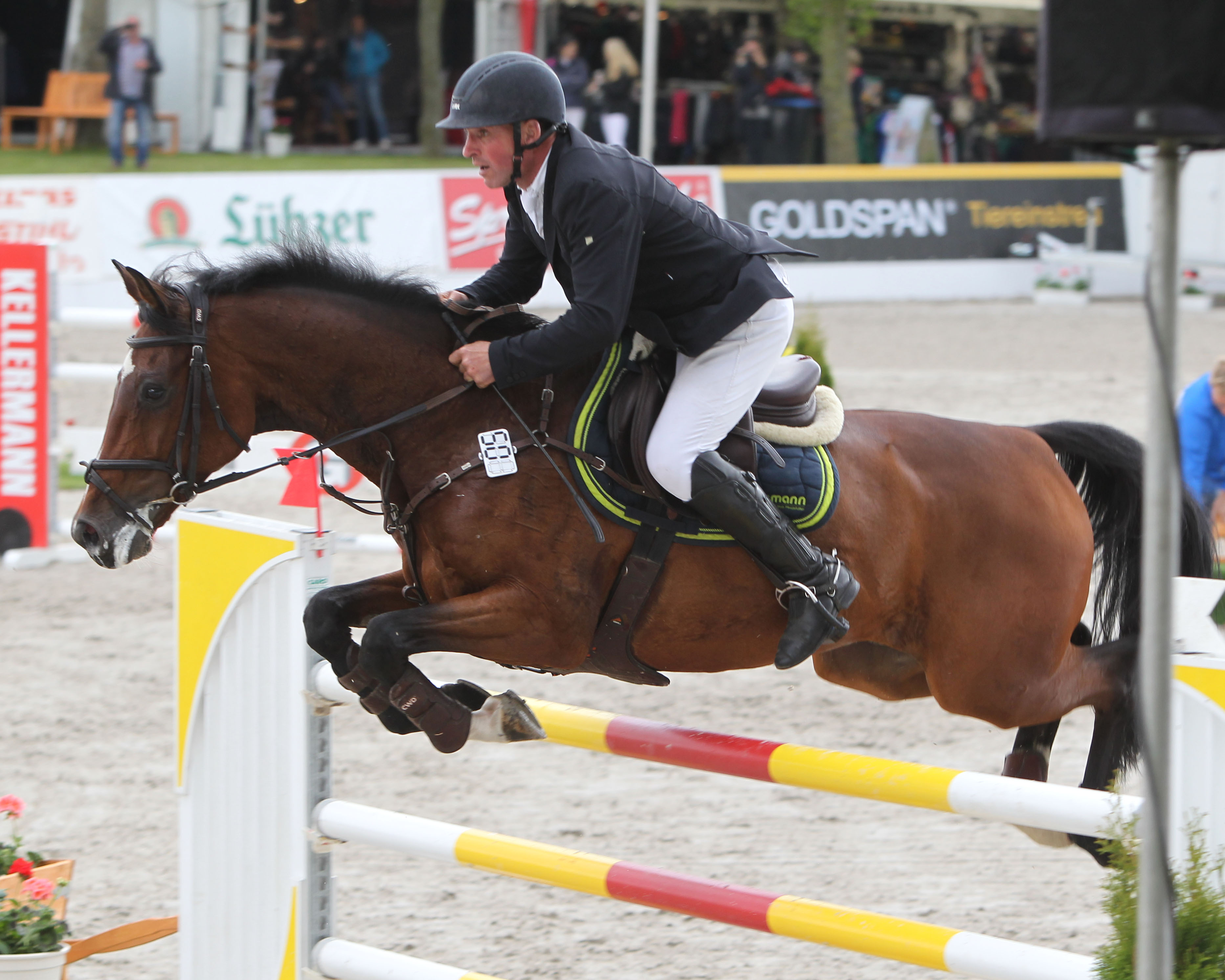 Zwei vierte Plätze gab es in den Springen der großen Tour bei den Paderborn Challenge für Jörg Möller auf dem 11-jährigen Hengst Casado. Foto: Jutta Wego