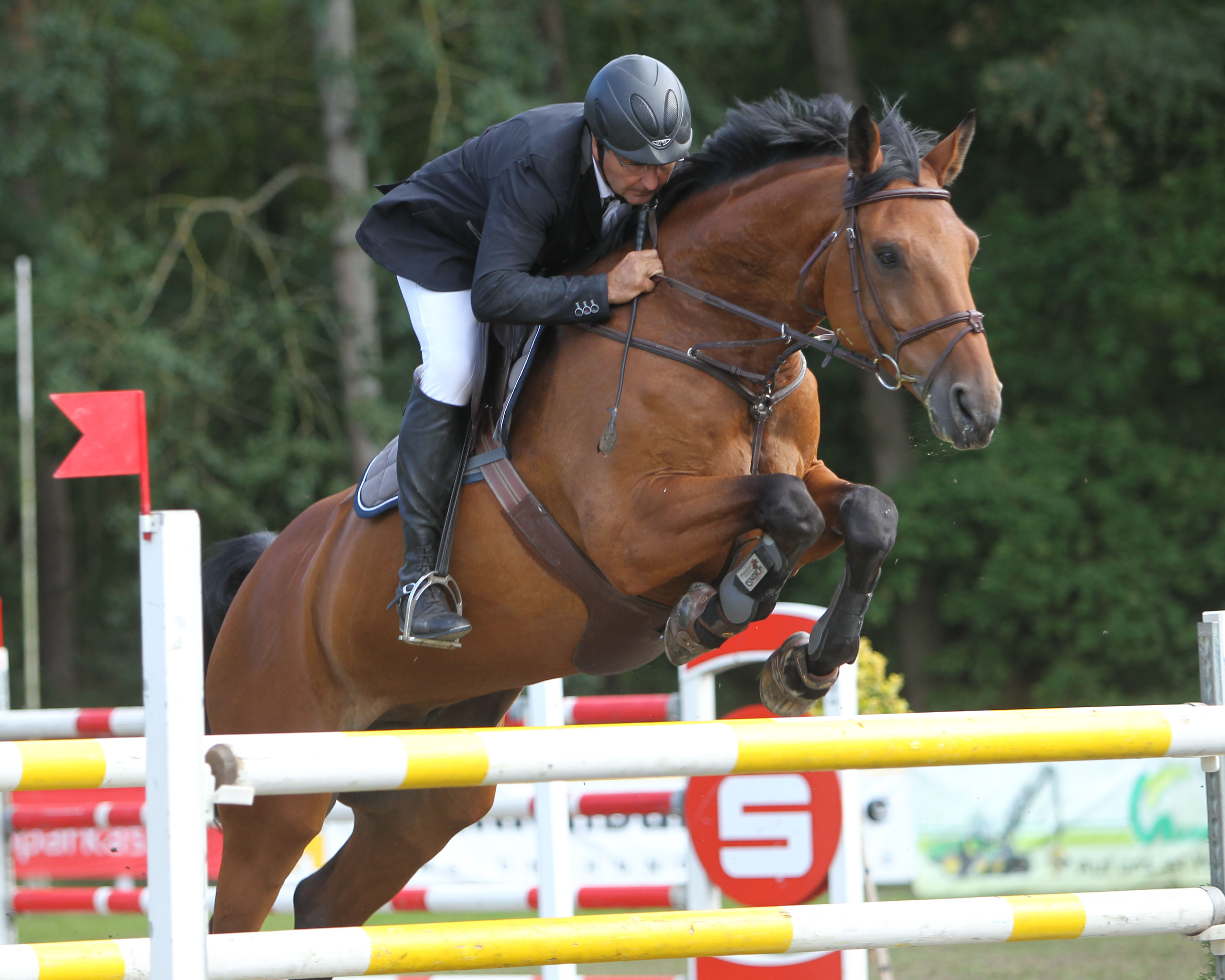 Der 53-Jährige Olaf Jürgens aus Polzow gewann mit dem 11-jährigen Mecklenburger Boritas Bay den Großen Preis von Woldegk. Foto: Jutta Wego