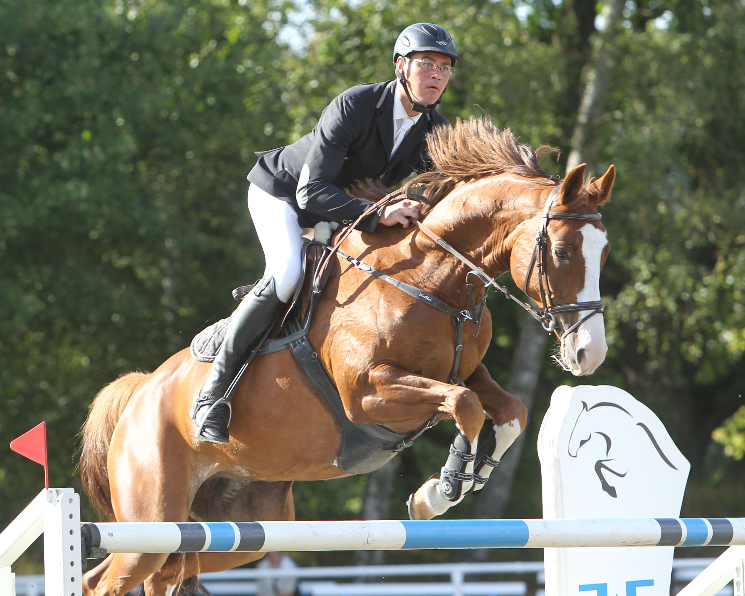 Am Samstag im Zwei-Sterne M-Springen (Zwei-Phasen) war Stefan Hentschel (Groß Vielen) auf dem 10-jährigen Baltasar als Sieger der Schnellste in der 2. Phase. Foto: Jutta Wego